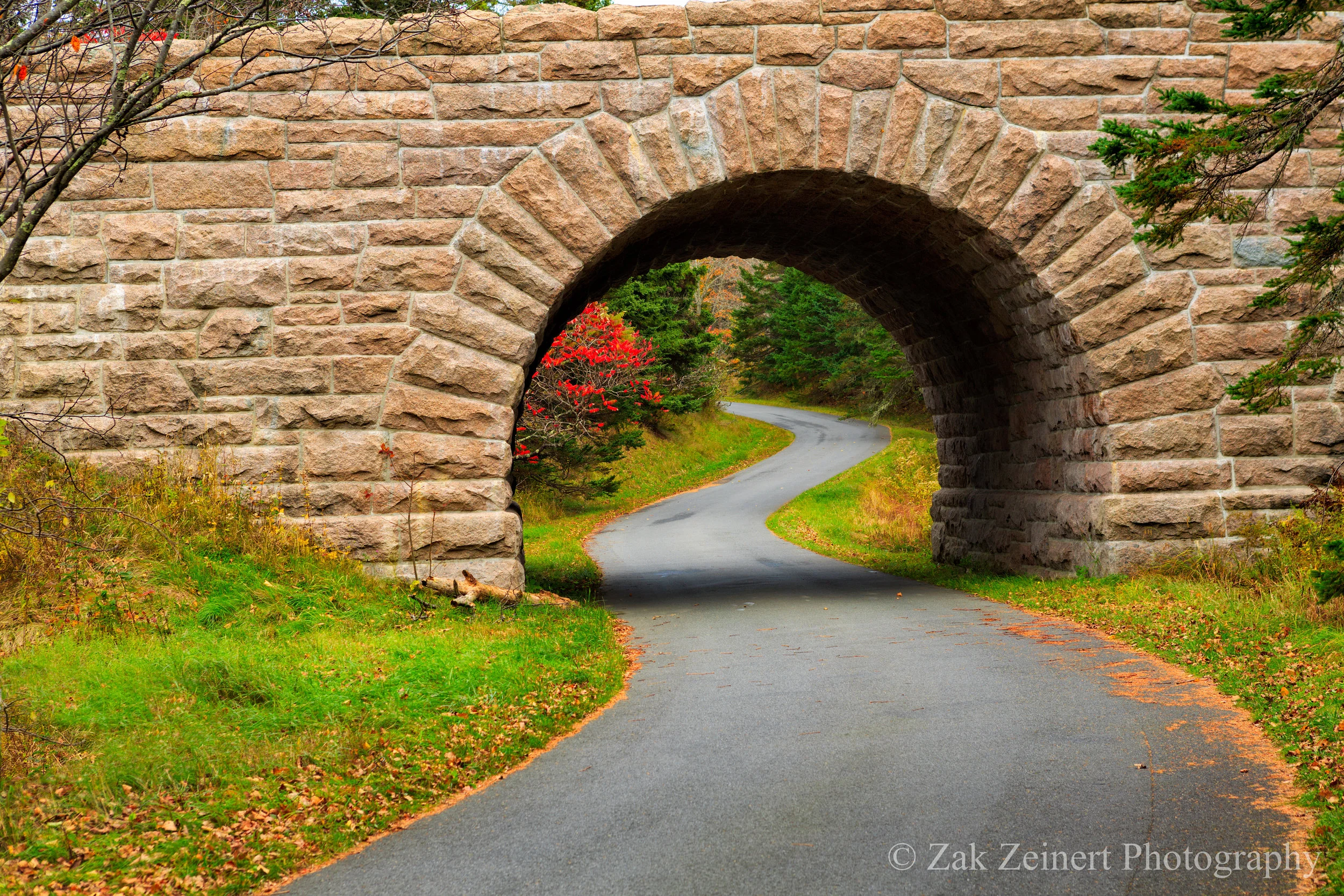 I loved these tunnels. Each brick is a different size and shape, a true testament to the craftmenship that went into it