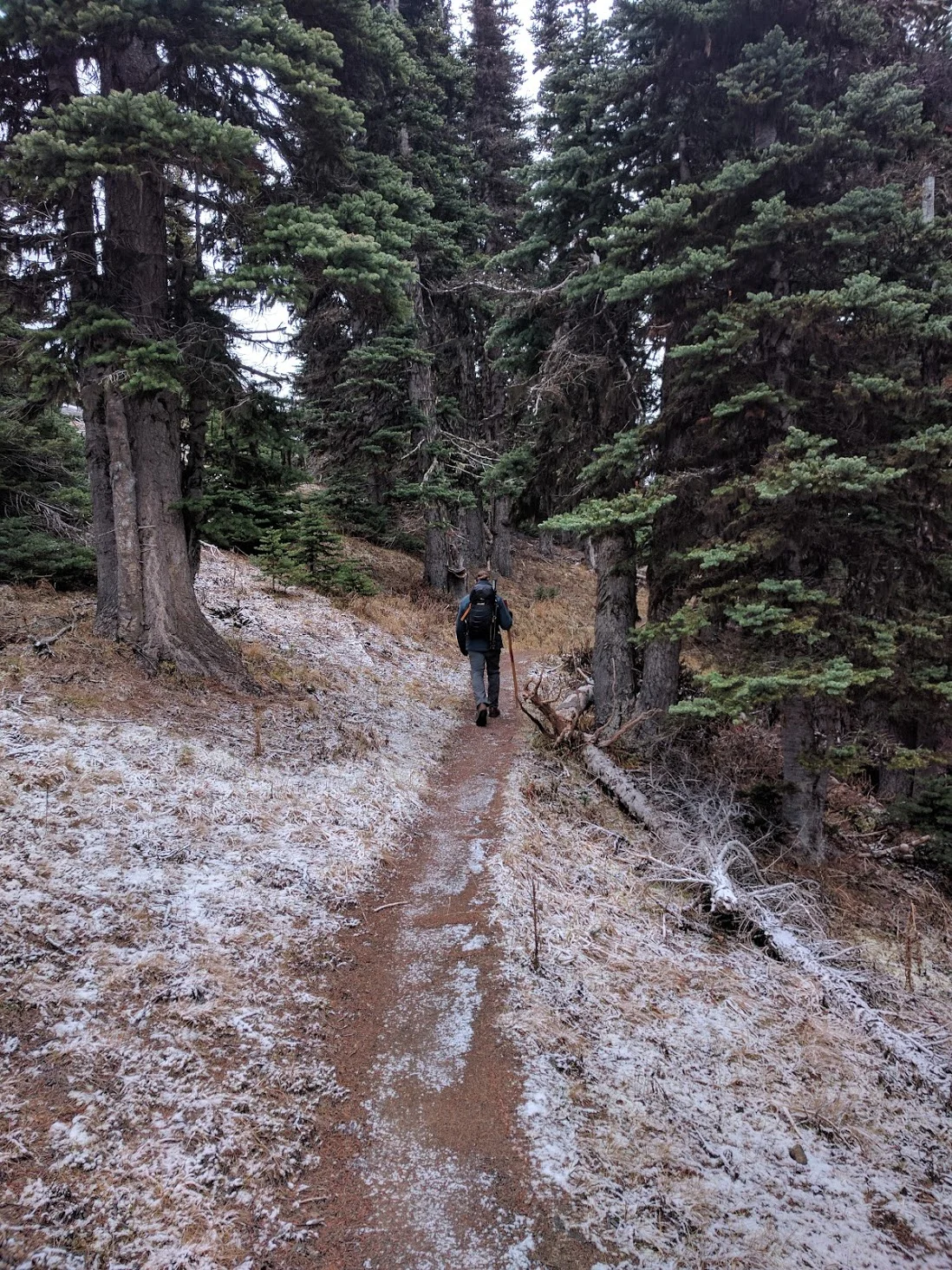 Hiking to Deer Park Campground. Photo courtesy of Jordan Long