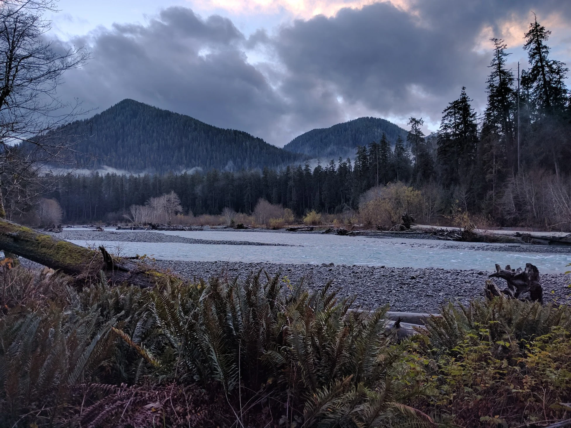 View from camp at the Hoh Campground. Photo courtesy of Jordan Long