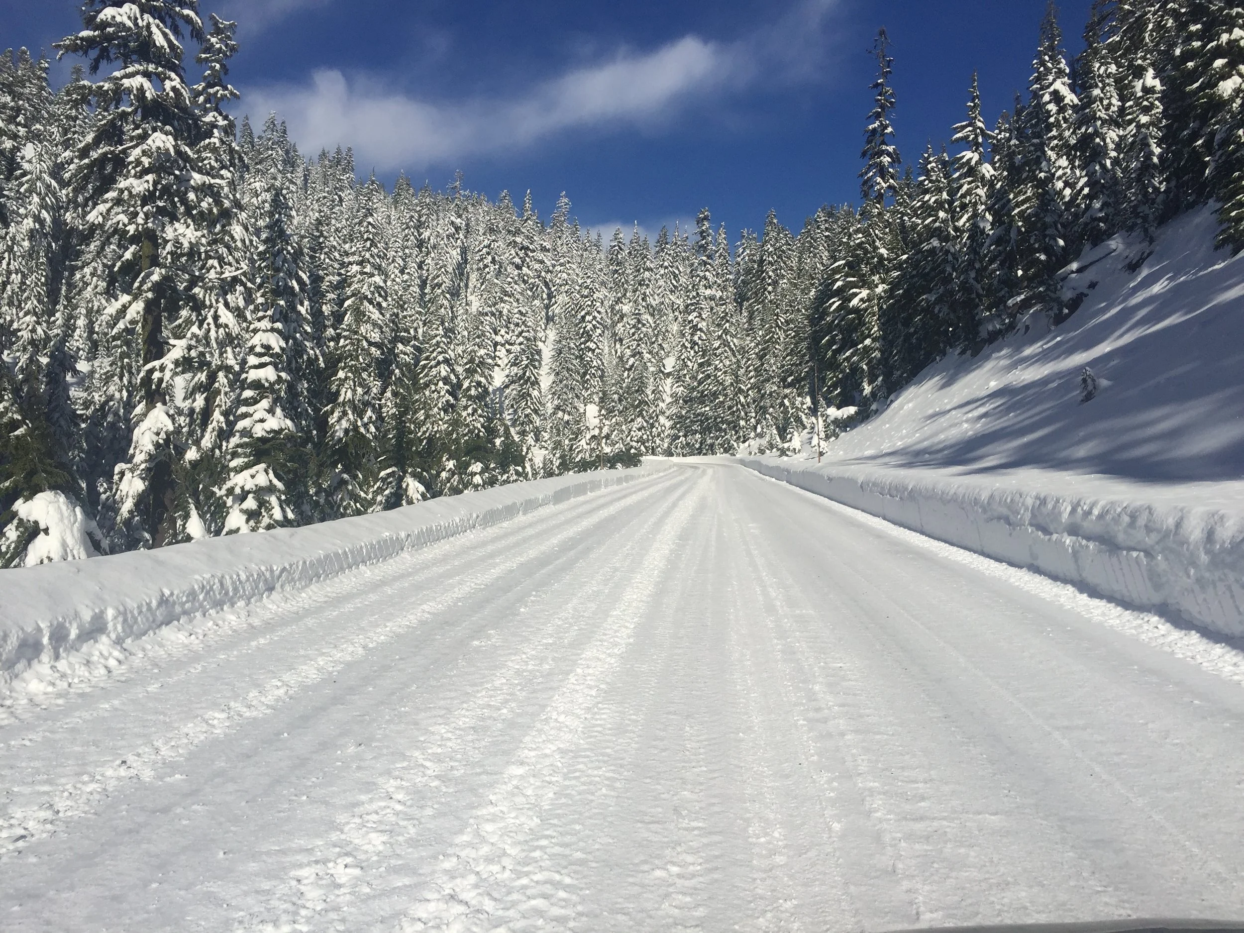 The drive up to Crater Lake