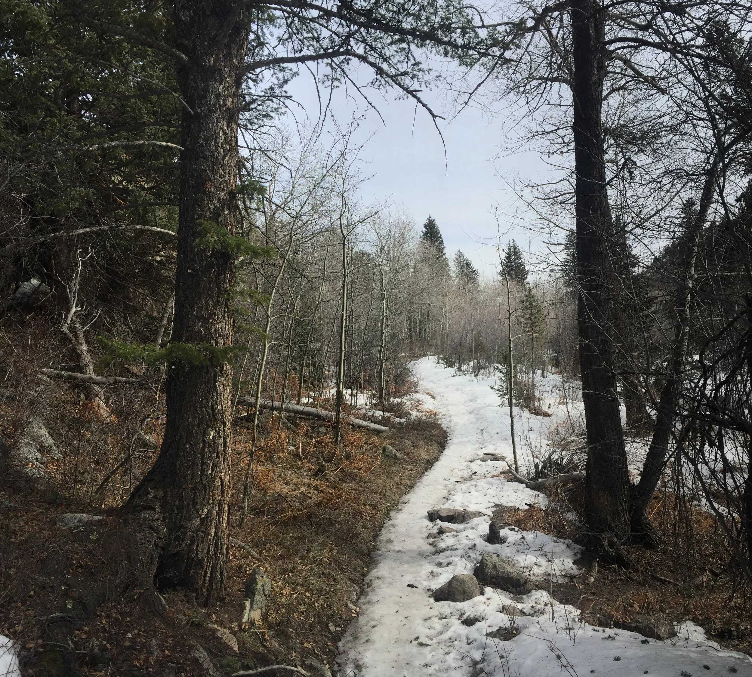 Snow covered path