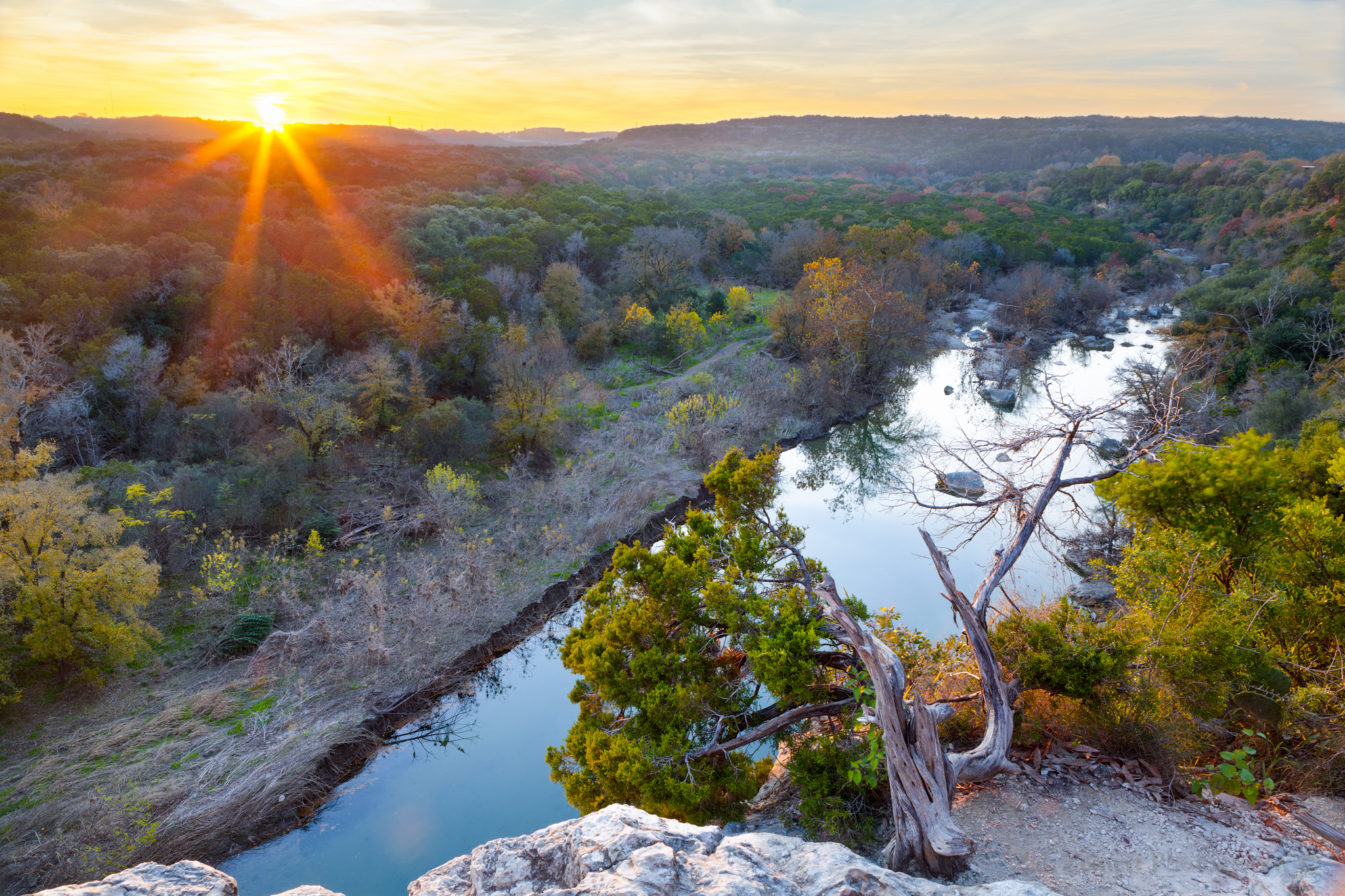 Natural Starburst captured in-camera over the Greenbelt in Austin, Texas