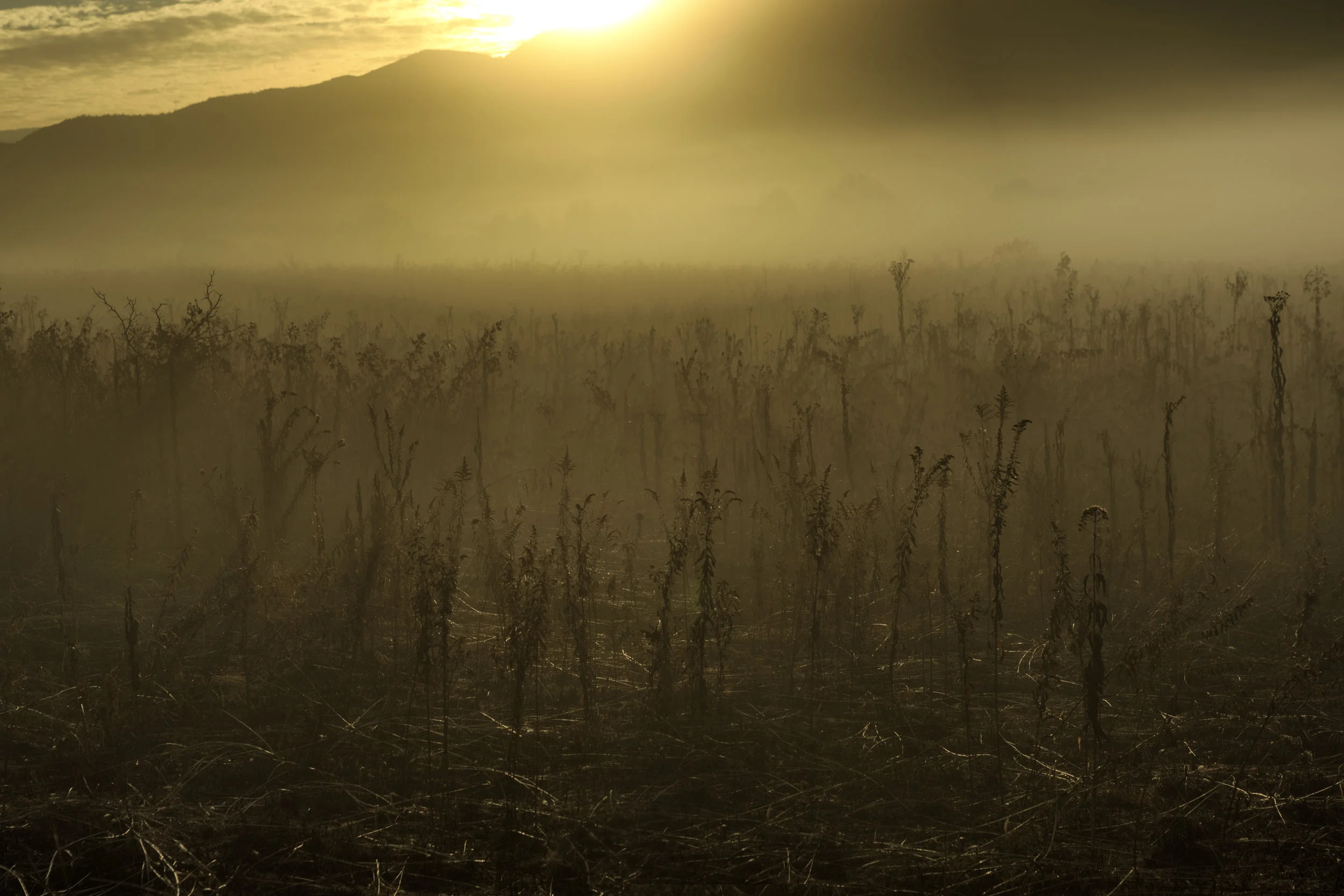 Cade's Cove - Great Smoky Mountains National Park