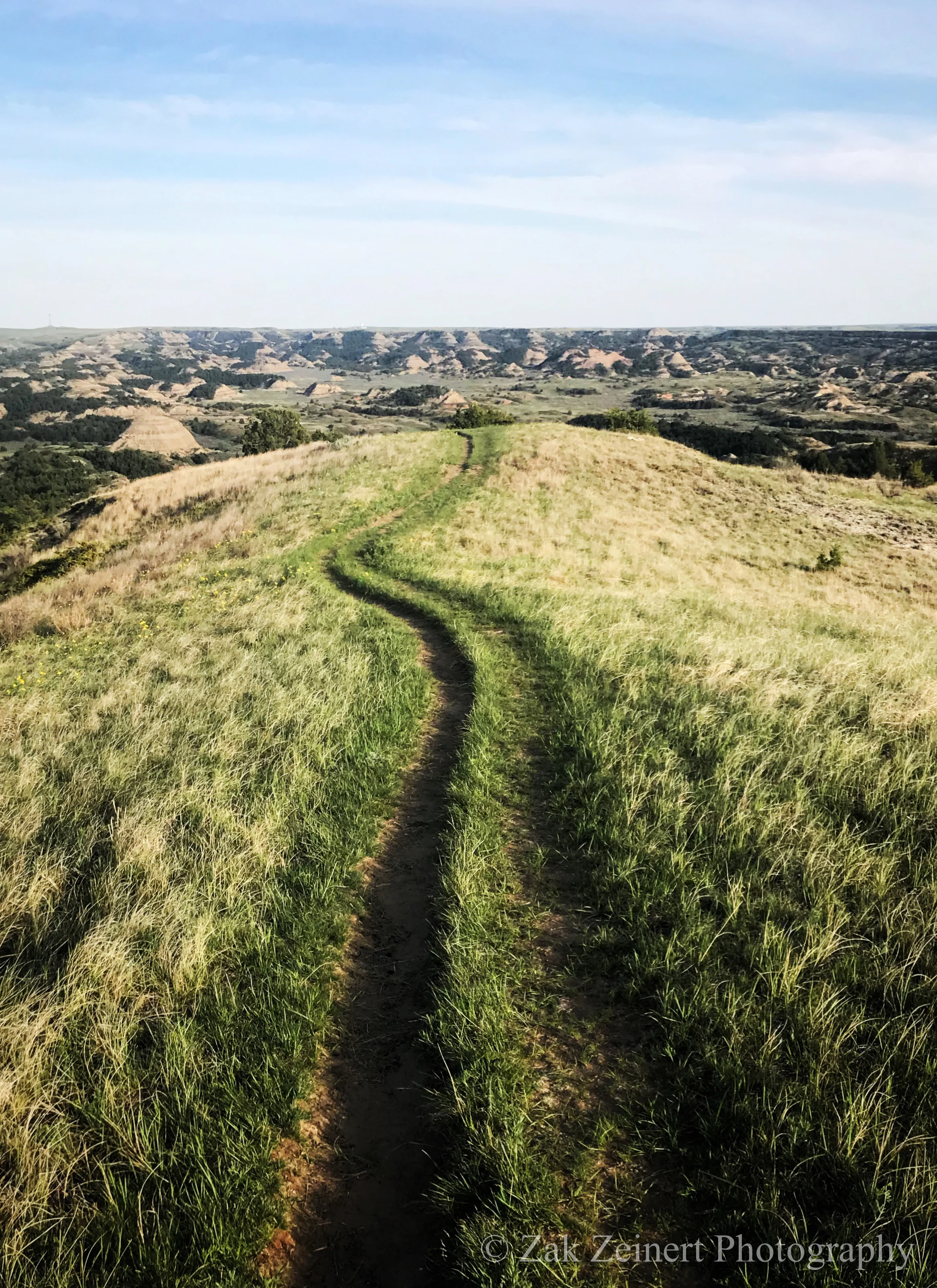 The trail leading down the southern slope of Buck Hill