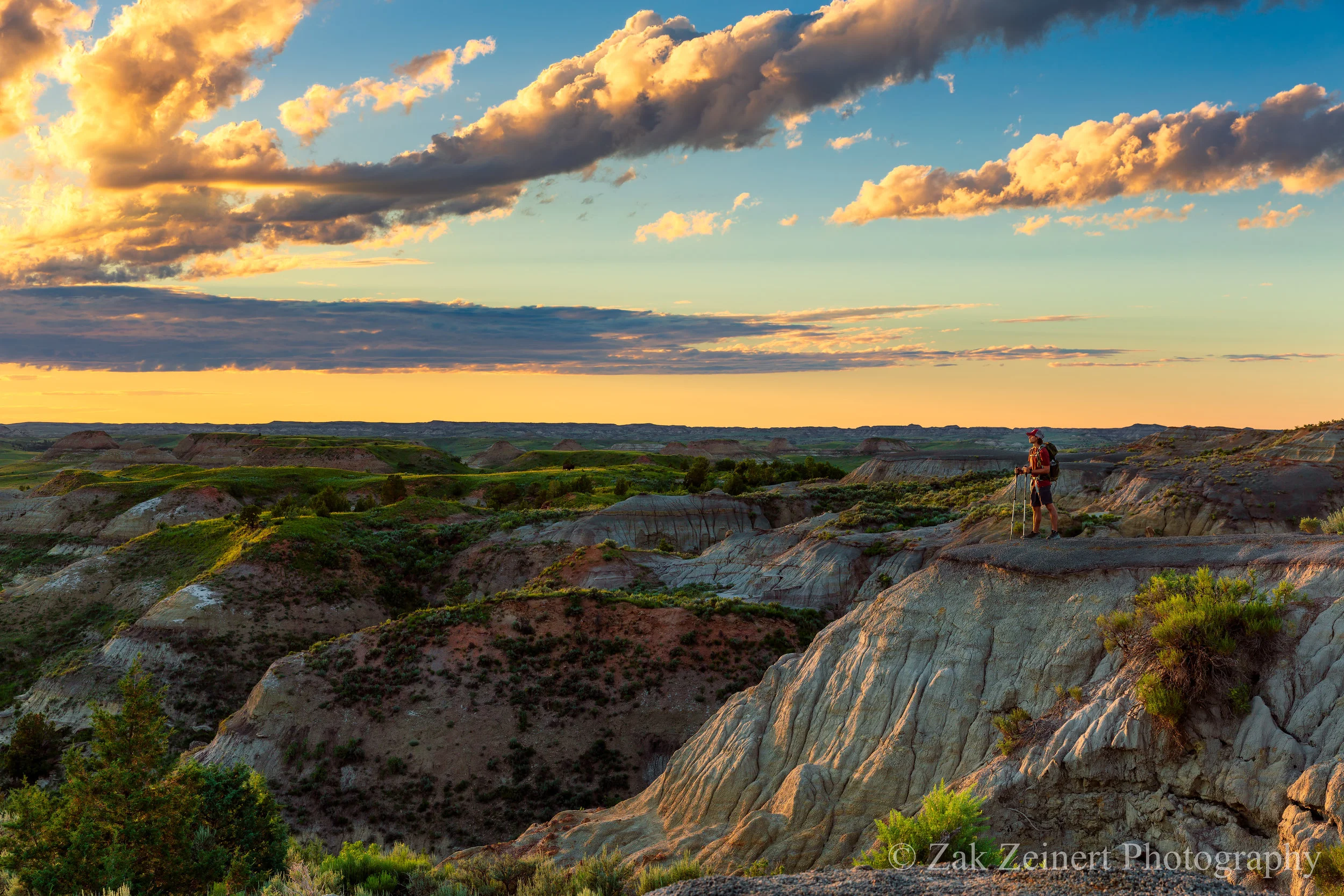Hiking along the Petrified Forest Loop