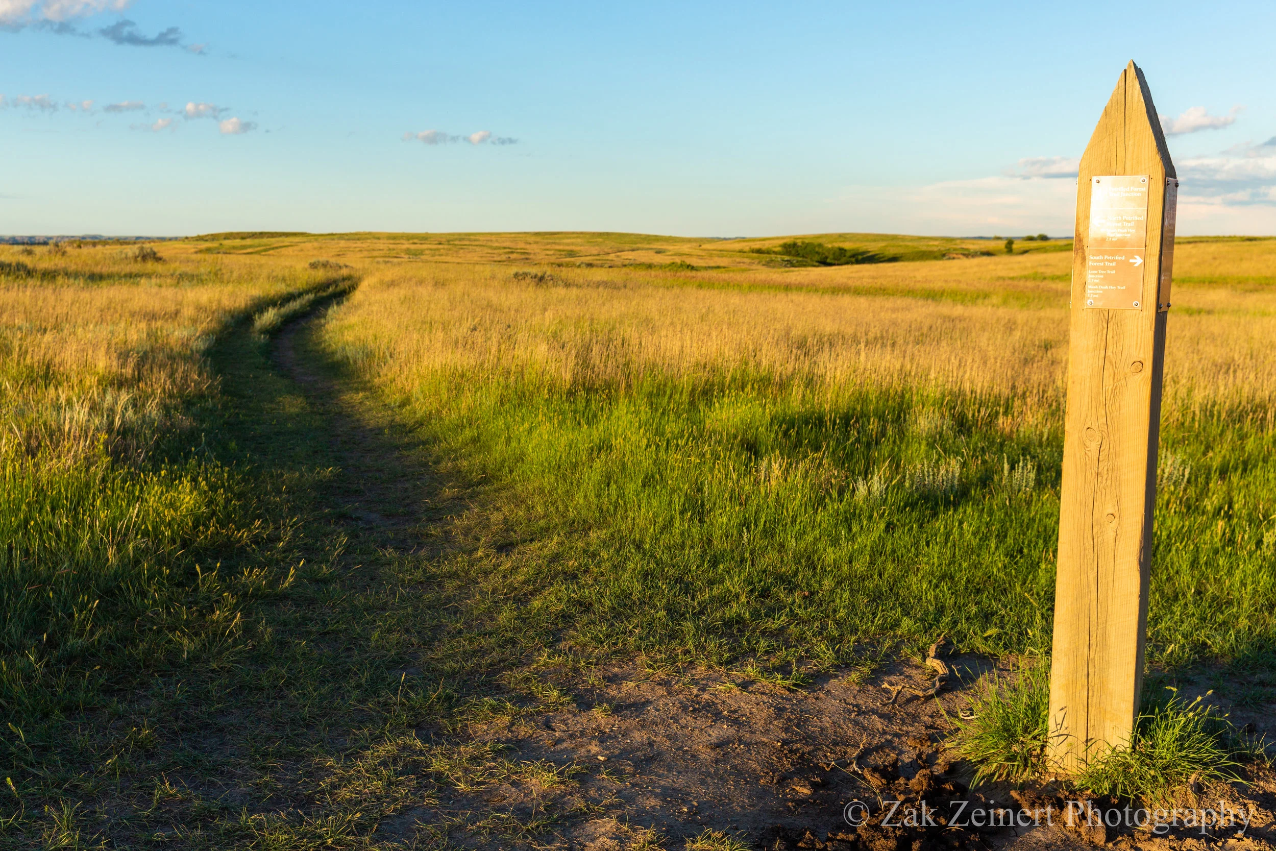 Post marking the beginning of the Petrified Forest Loop