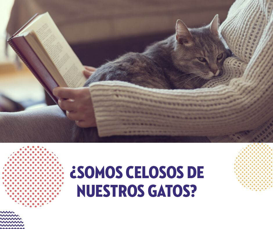Nuevo Plata antigua sabiduría animal espíritu llamando Collar con Gato Bell