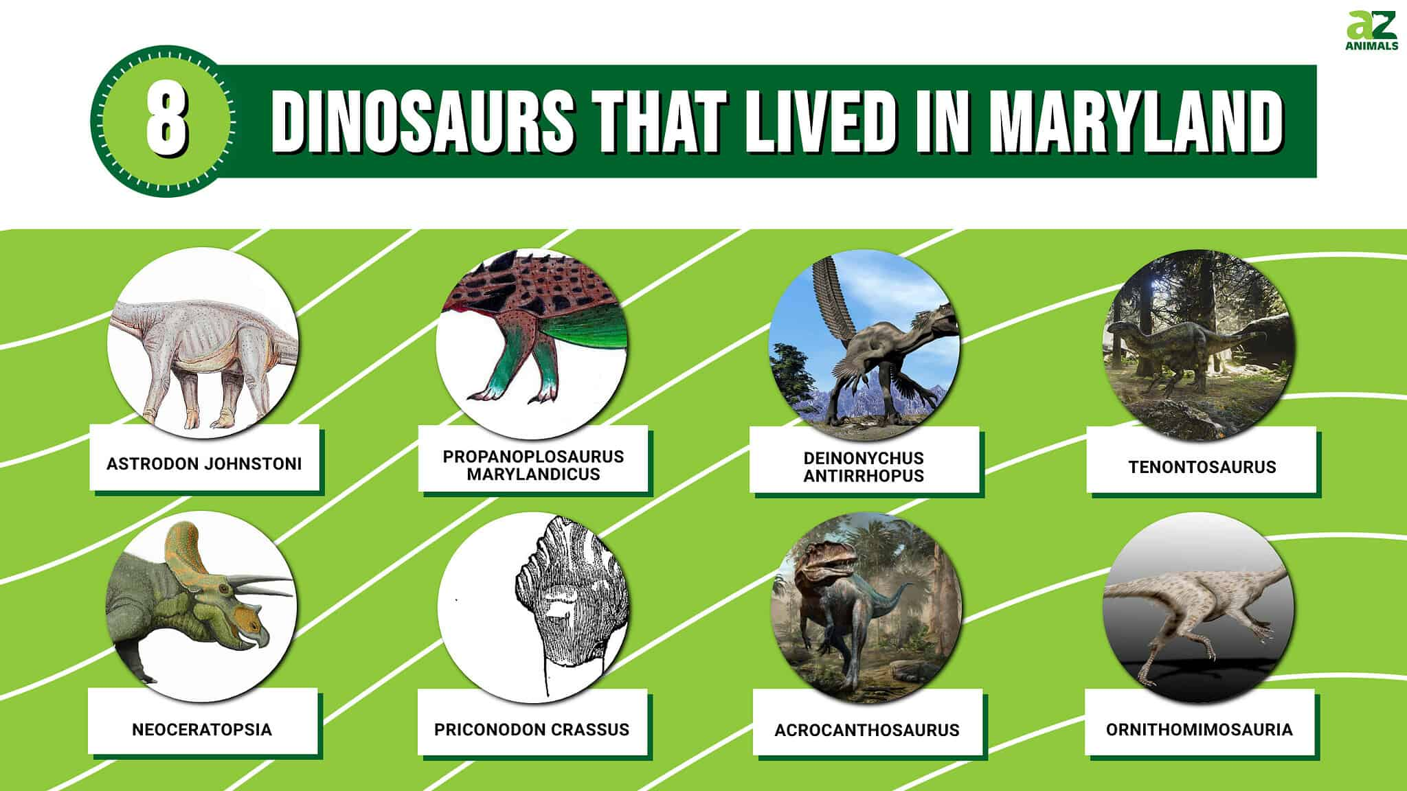  Baltimore! Baltimore! Dinosaur! - A Rhizome LARP