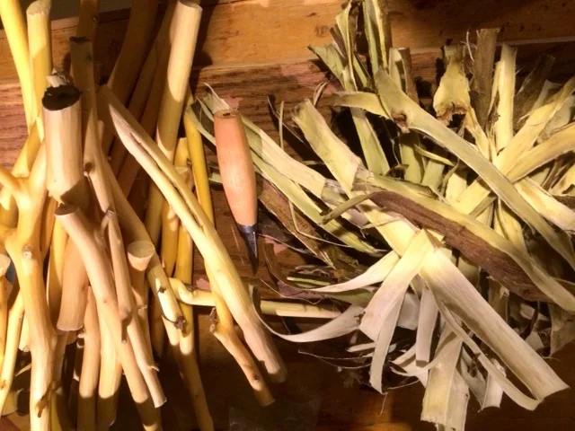 Art from Invasive Species: Making Paper from Paper Mulberrys