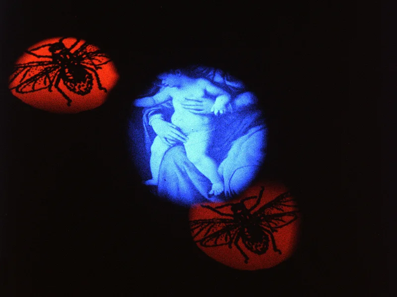 A Night of Moving Images