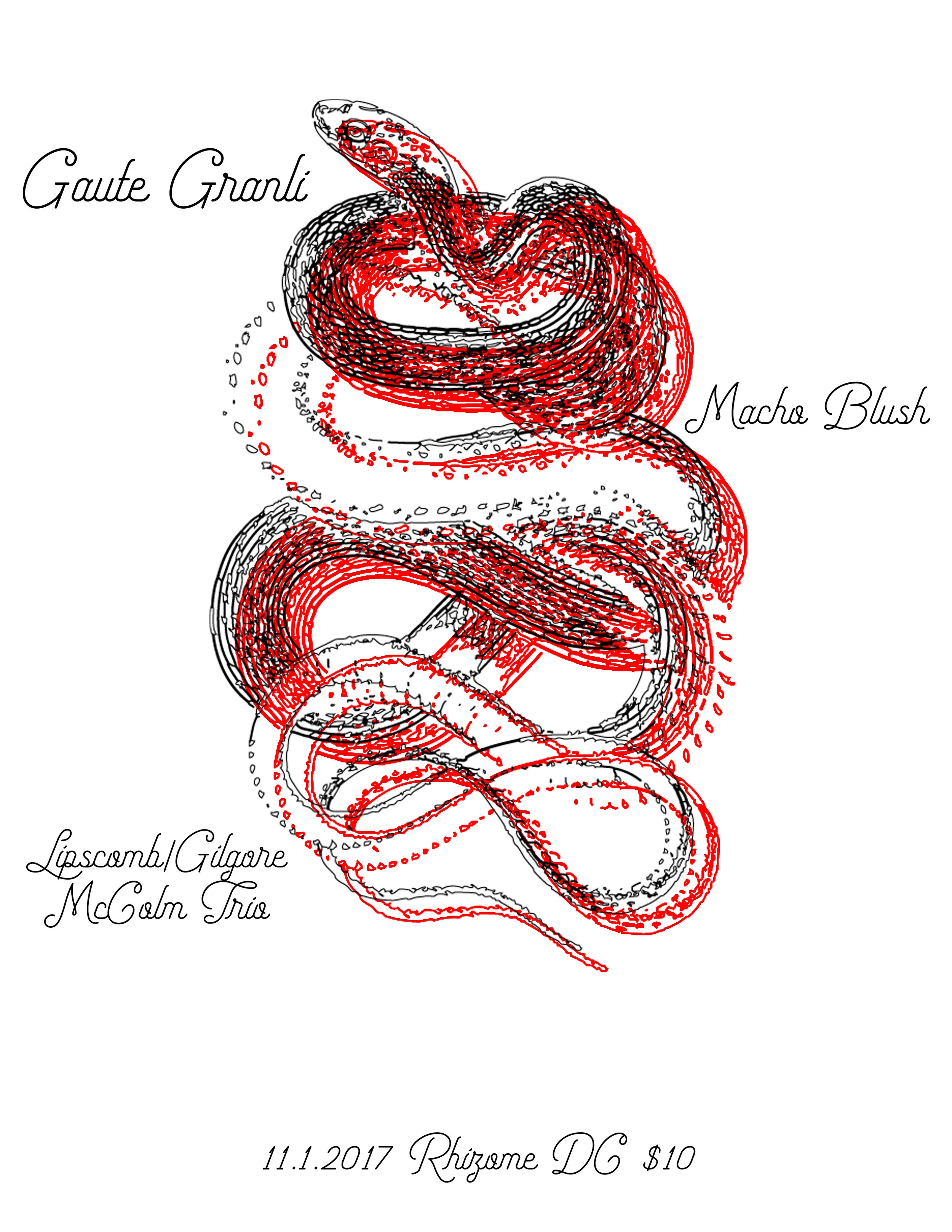 gaute_granli_flyer .jpg