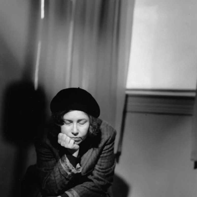 Linda Smith / "The Digestive Biscuits"