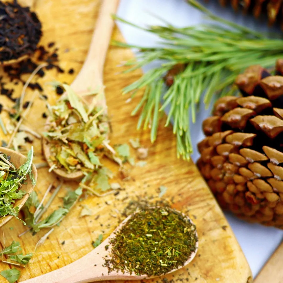 Wild Winter Medicine