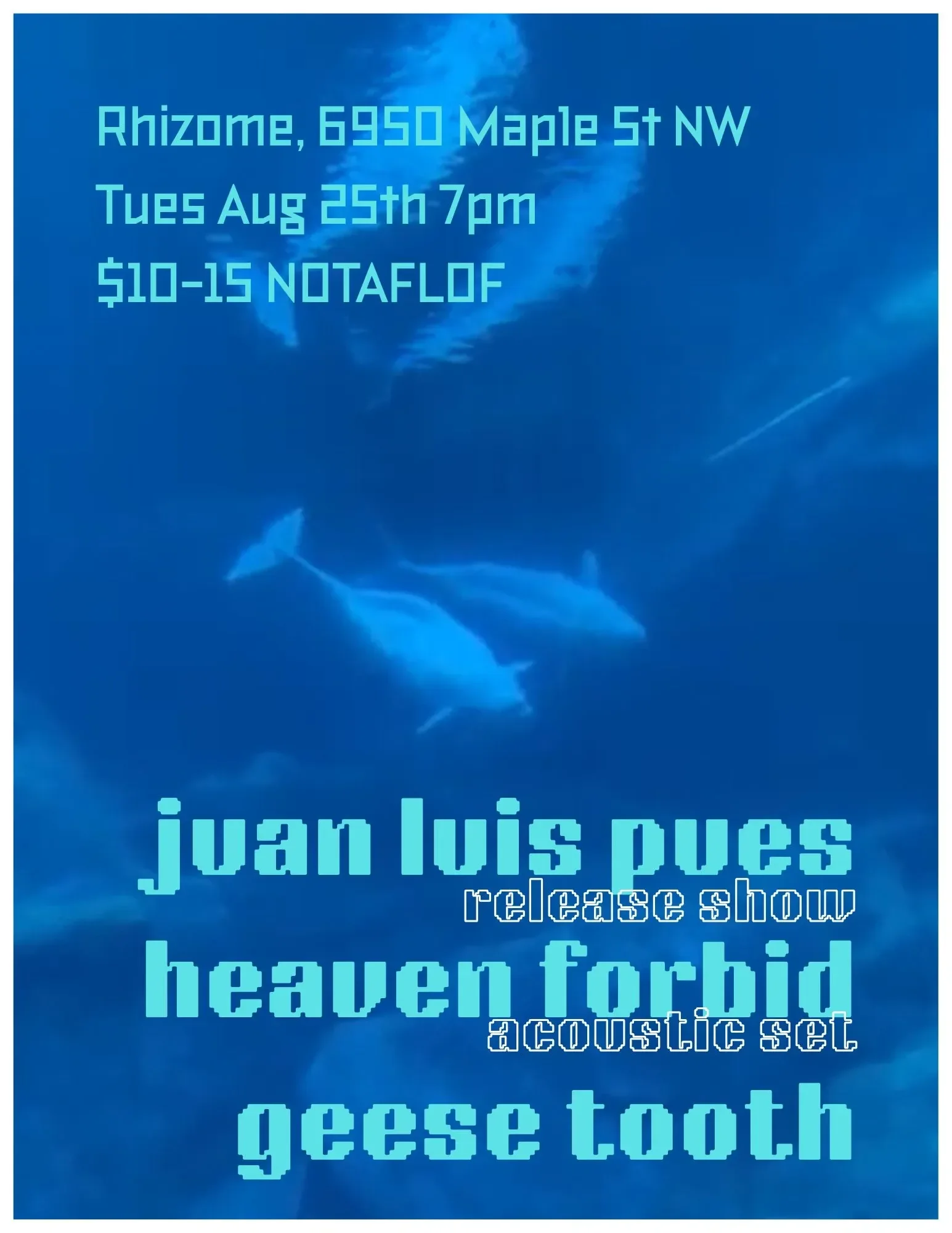 Juan Luis Pues / Heaven Forbid / Geese Tooth
