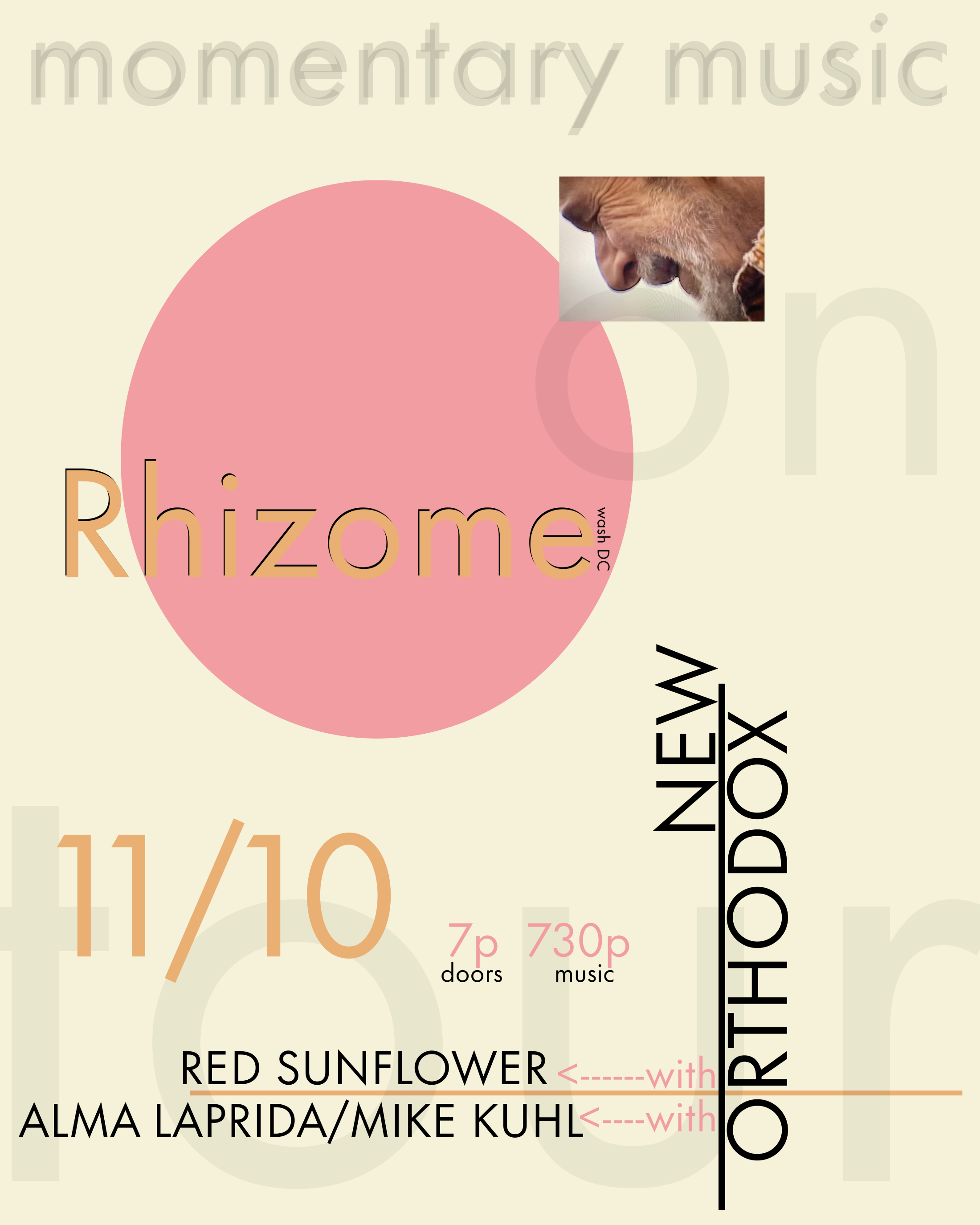 New Orthodox / Red Sunflower / Alma Laprida &amp; Mike Kuhl