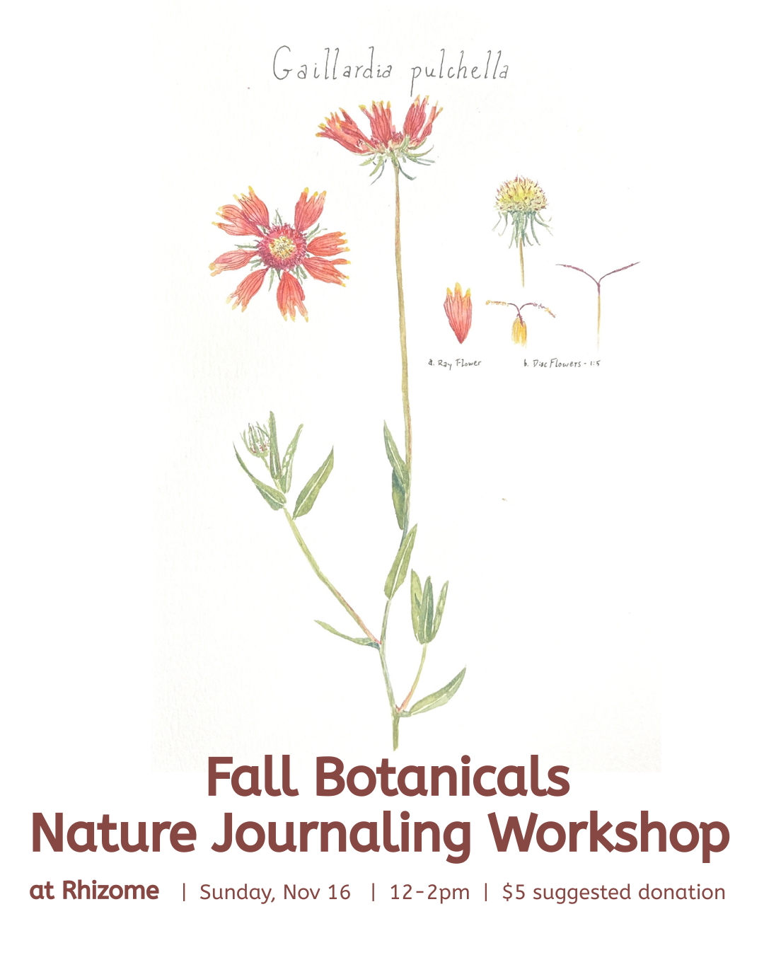 Fall Botanicals Nature Journaling Workshop