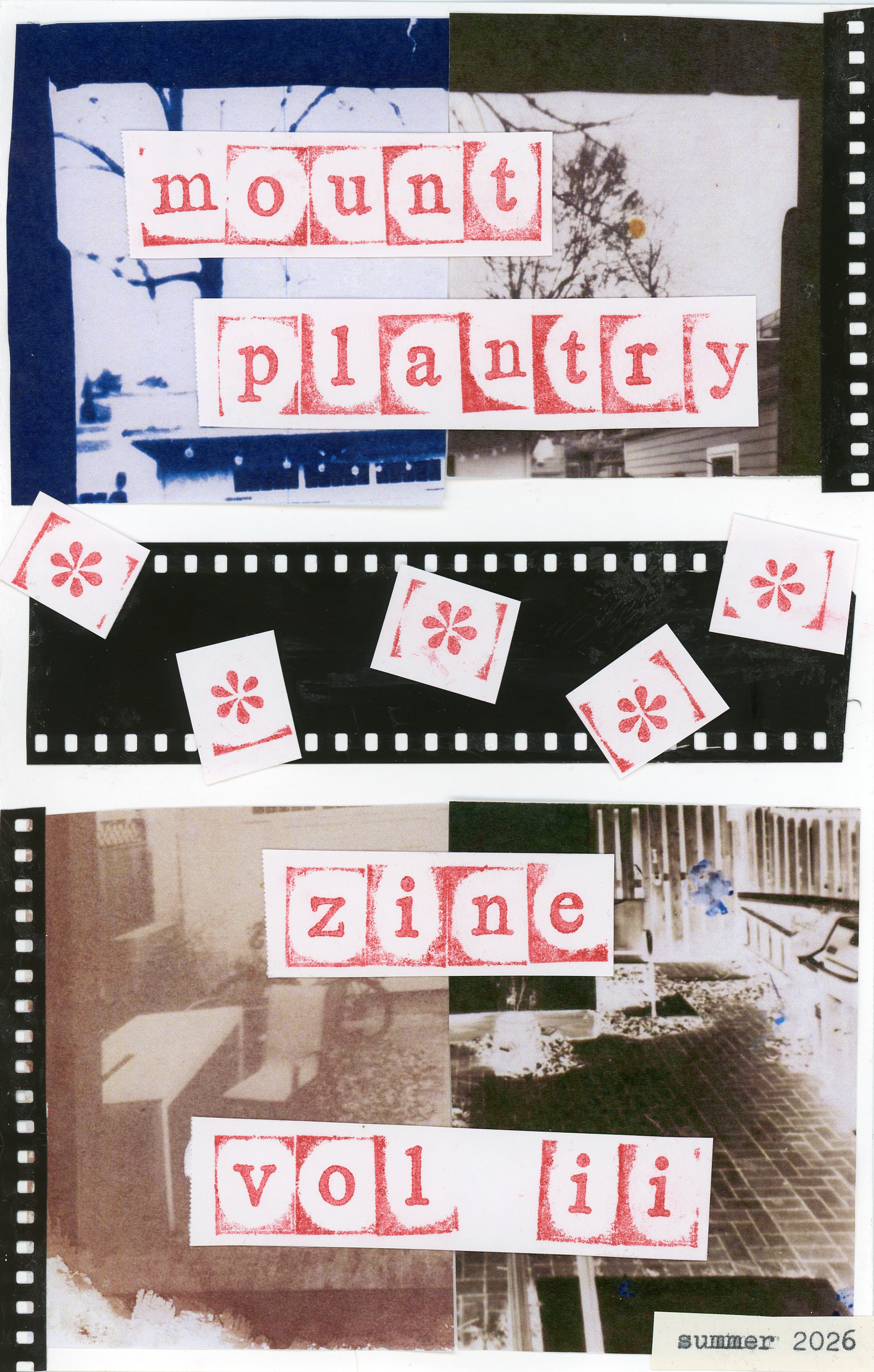The Mt Plantastic Zine Fair