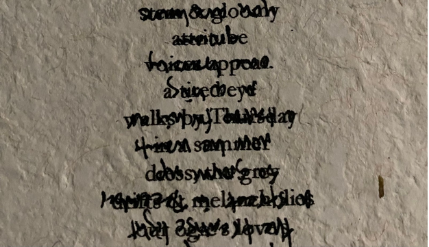  Forget Why Poetry Series - Theodora Danylevich, Casey Smith, &amp; Tom Mandel