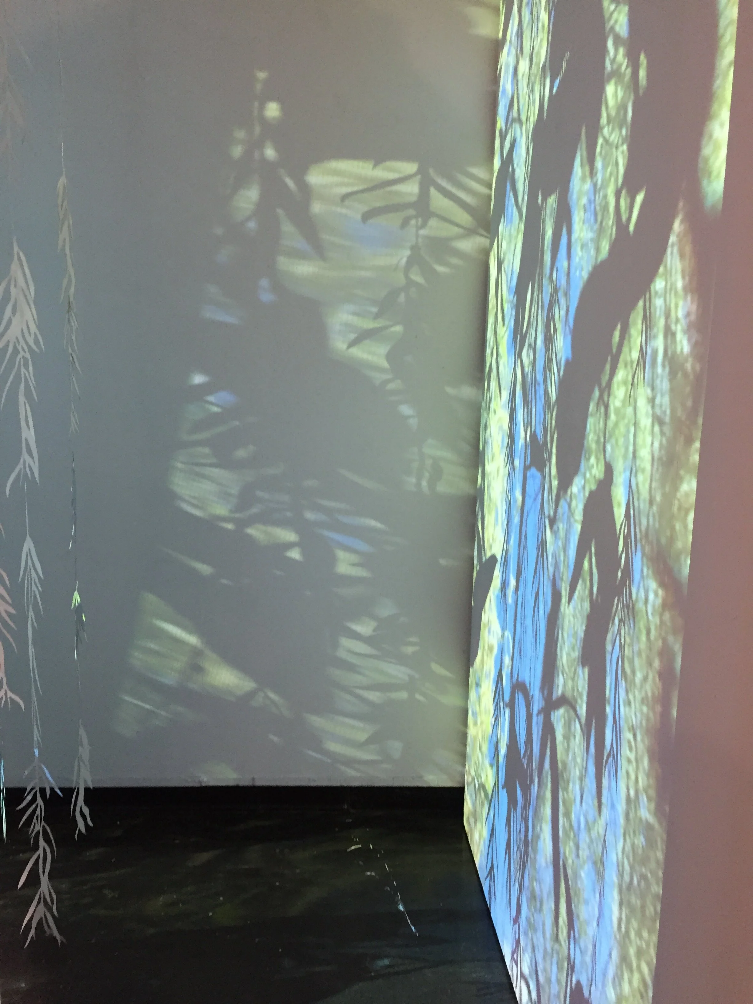 Analog Projection Workshop