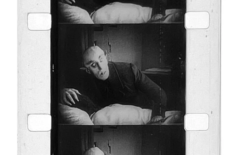 Outdoor 16mm projection of Nosferatu with live score by Umbilicus & Satellite