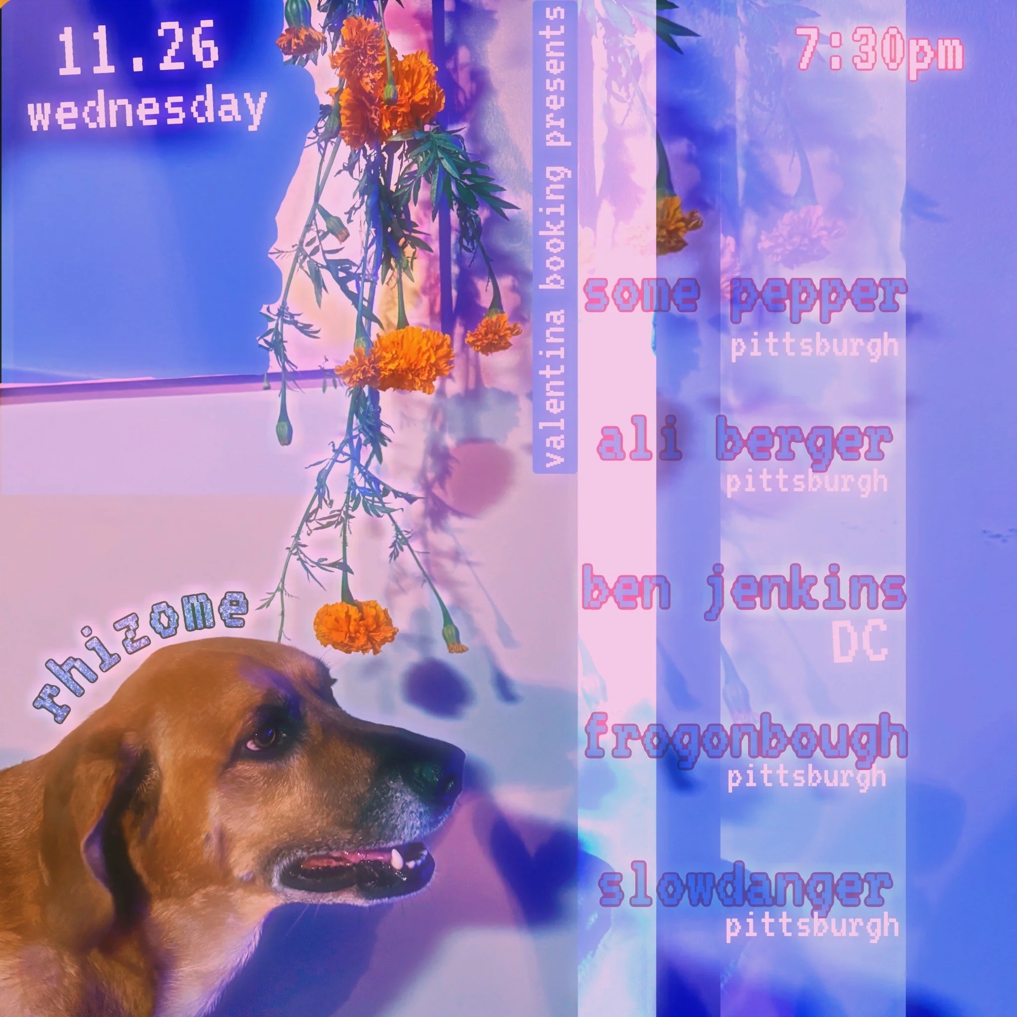 some pepper / Ben Jenkins / Ali Berger / frog on bough / Slowdanger