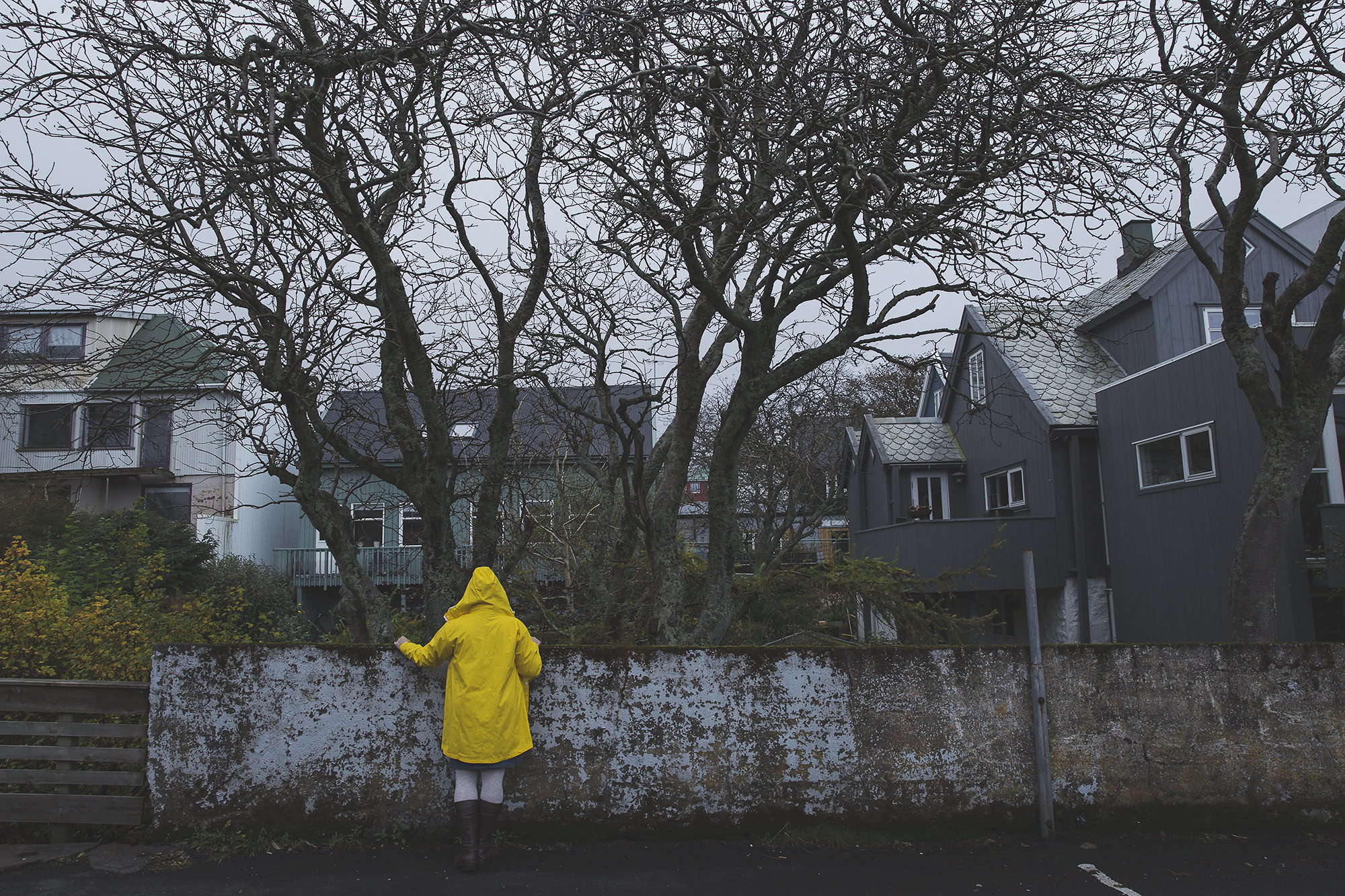 The Yellow Raincoats (Marjun), 2017