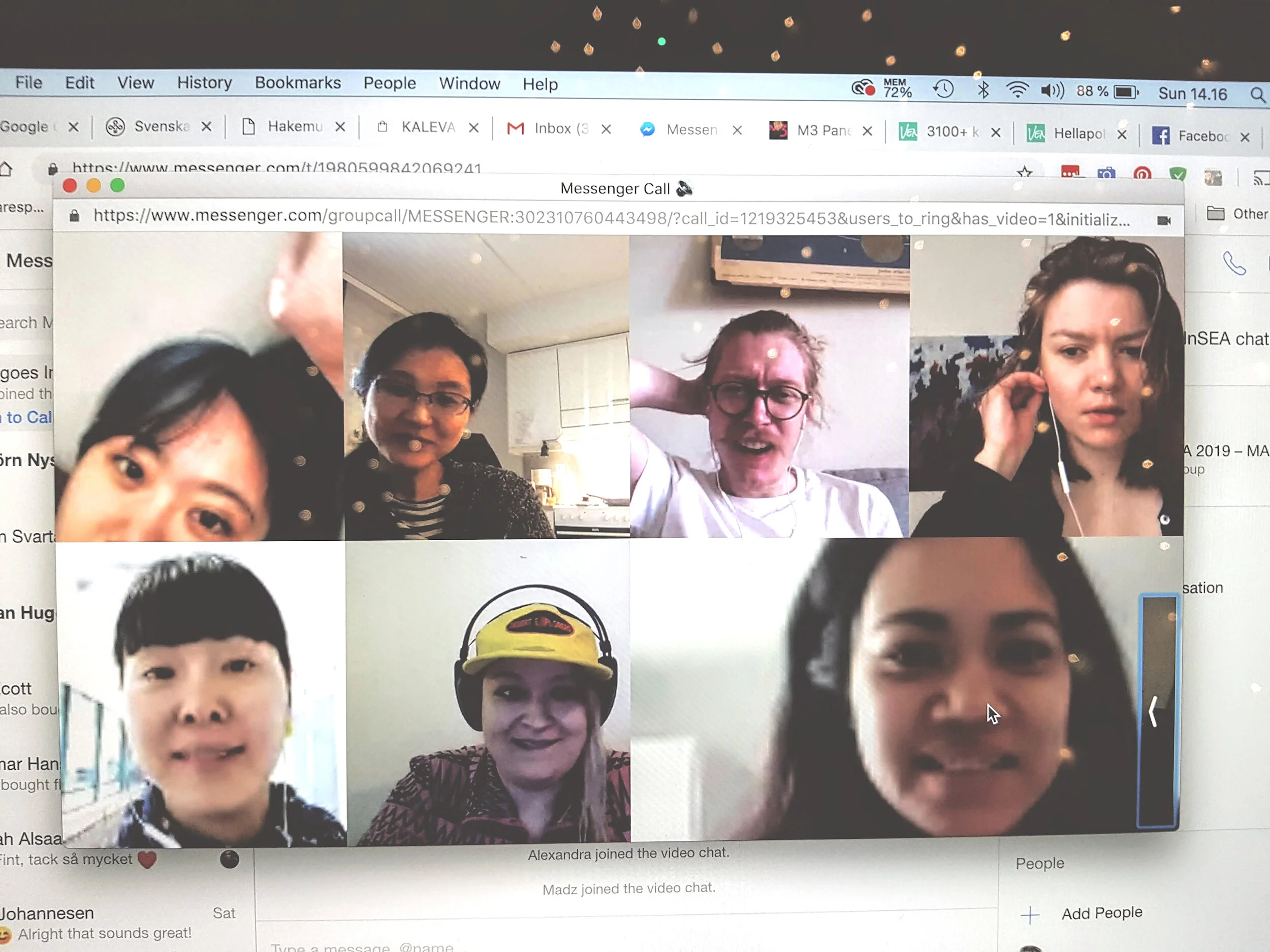 Online meeting for InSEA 2019