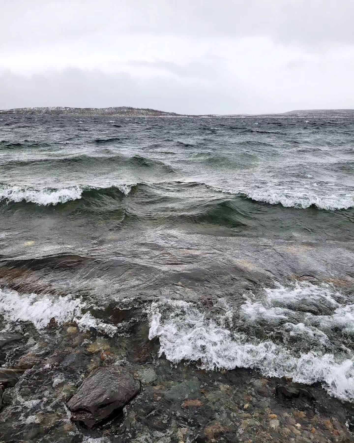 Glad Nordens Dag! Hyv&auml;&auml; Pohjolan p&auml;iv&auml;&auml;!

Bild fr&aring;n konstprojektet With the River d&auml;r en grupp nordiska konstn&auml;rer arbetar tillsammans med &auml;lven, havet och med teman kring vatten &aring;ren 2023-2025. H&a