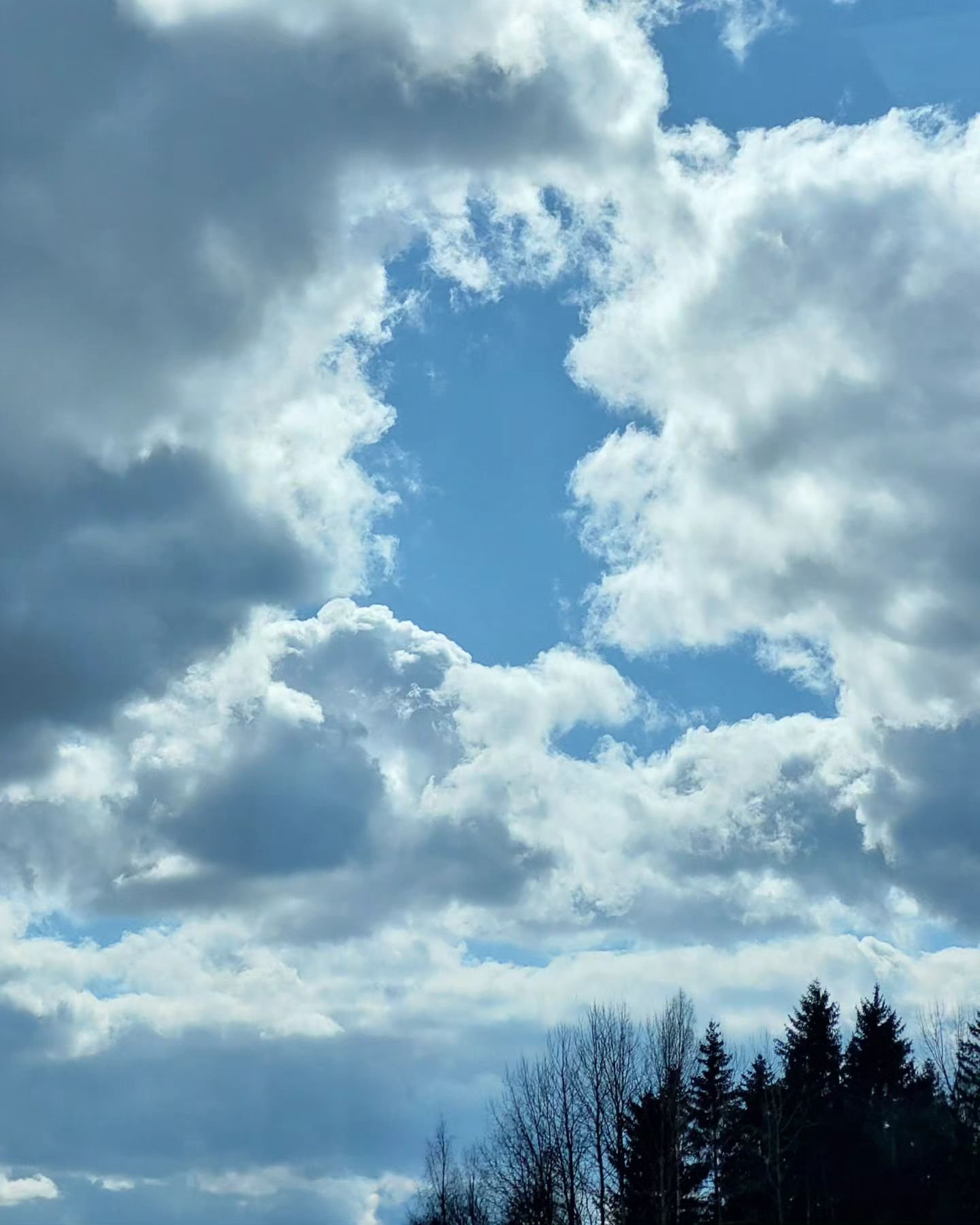 Blue Sky (Trainscape), April 2024, Finland