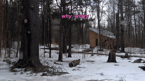 why worry.gif