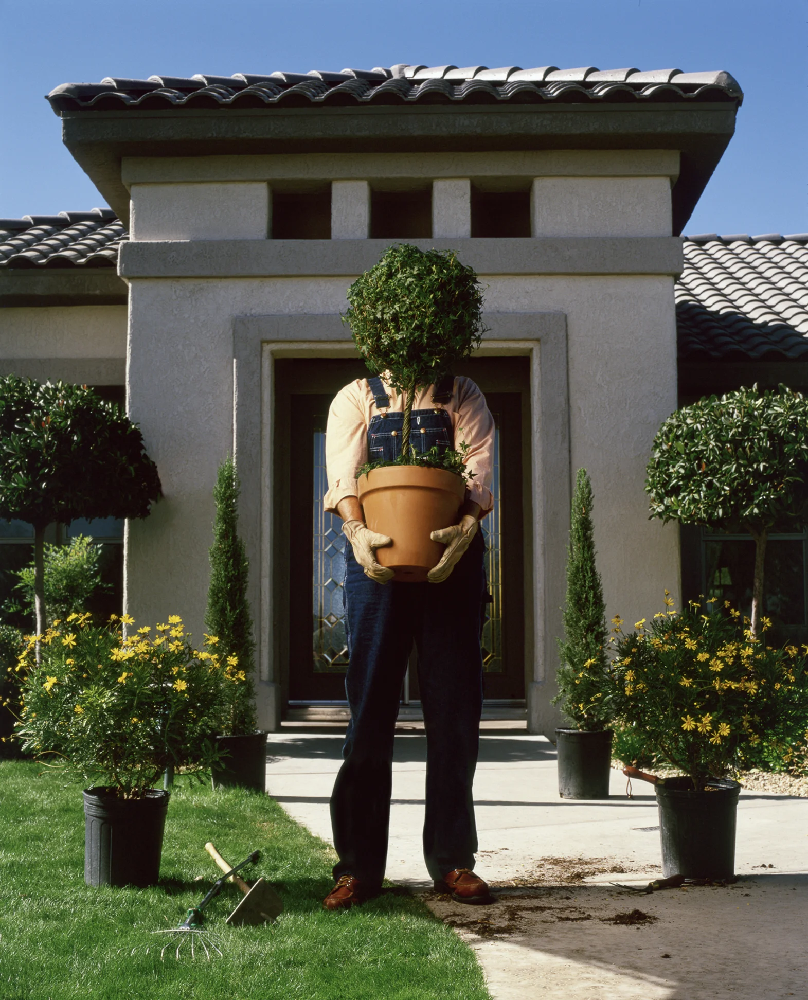 Del Webb