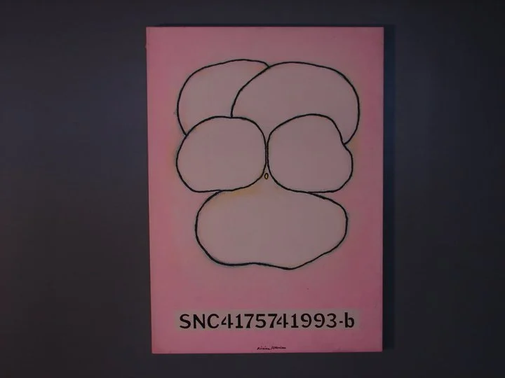 SNC4175741993-b