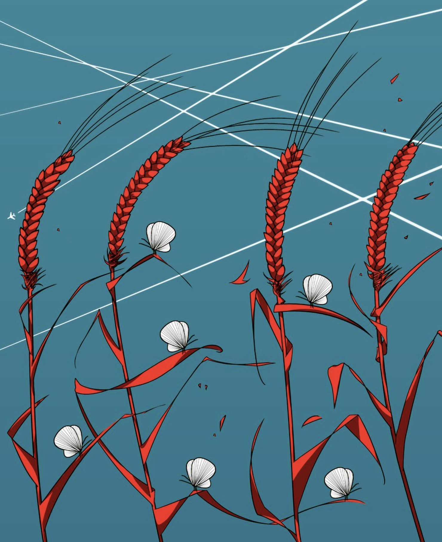 Screenshot 2025-07-11 at 10.52.18 AM.png