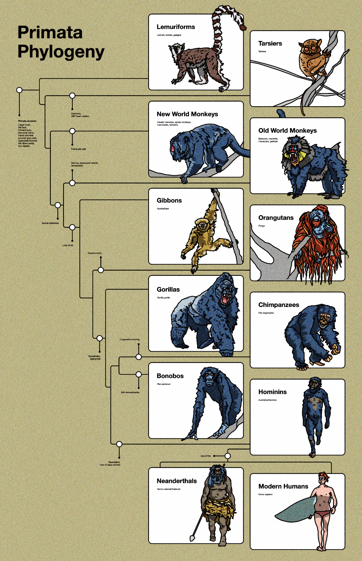 Screenshot 2026-04-18 at 3.11.20 PM.png