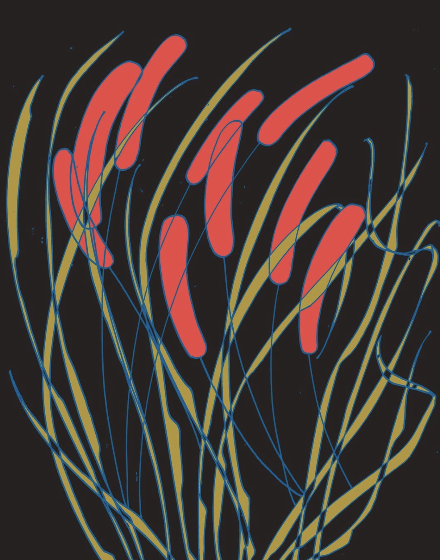 Screenshot 2025-07-11 at 10.48.01 AM.png