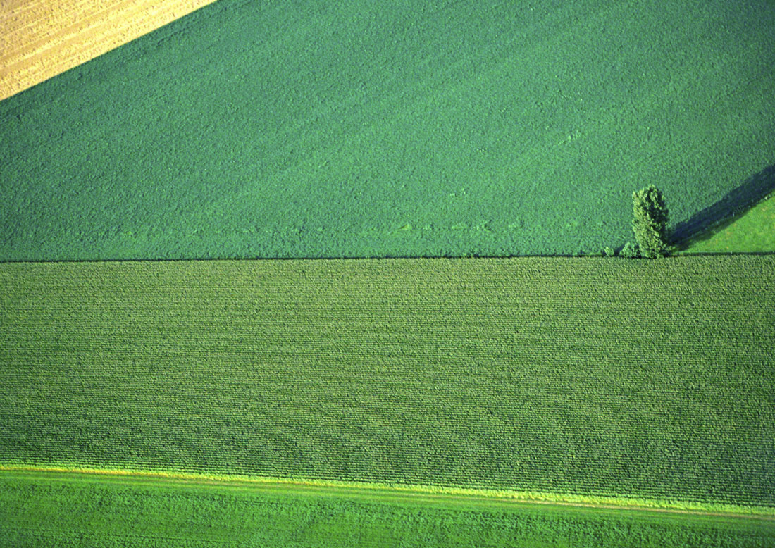 18 Verte Campagne 1 Q-9 digi 4.jpg