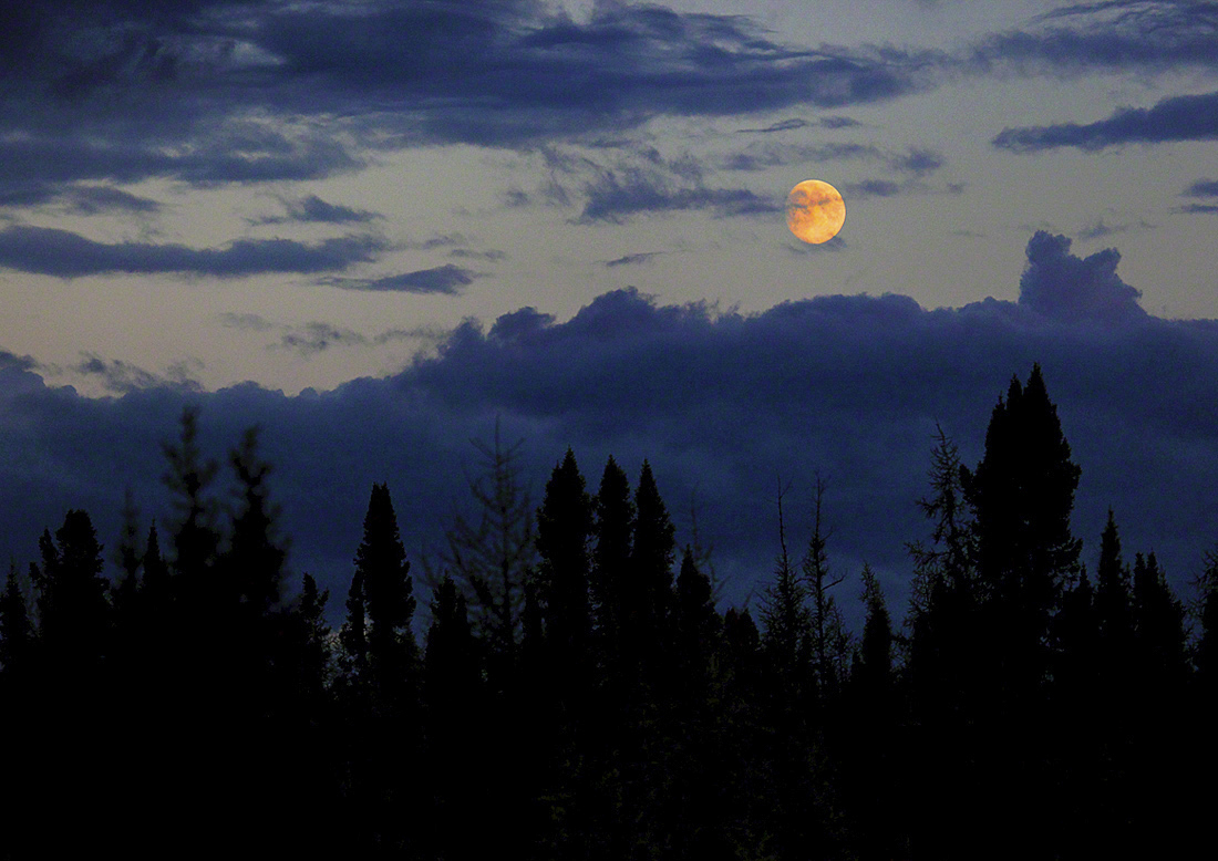 16 Nunavik Lune F 1100 x 778.jpg