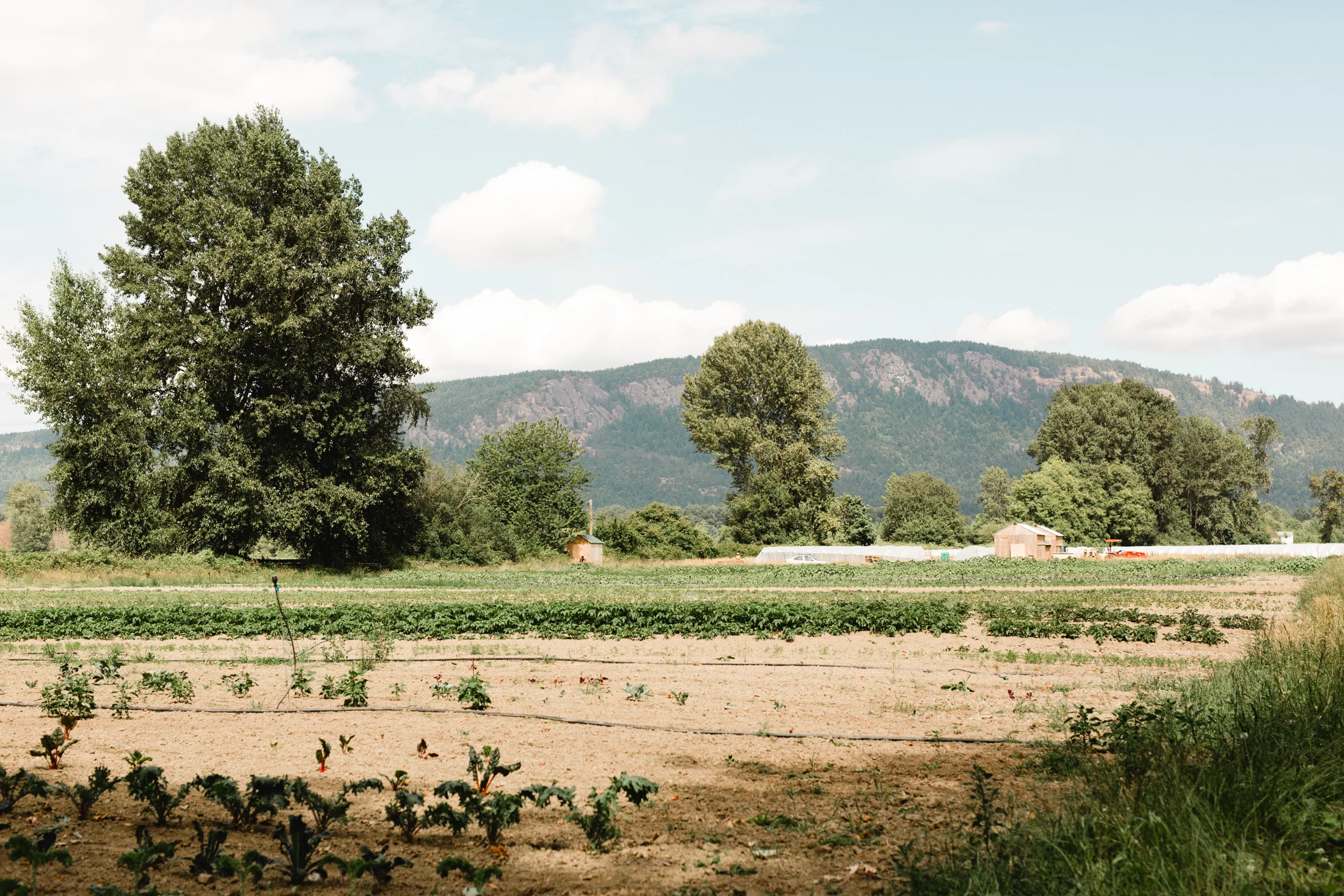 manna farm-23.jpg