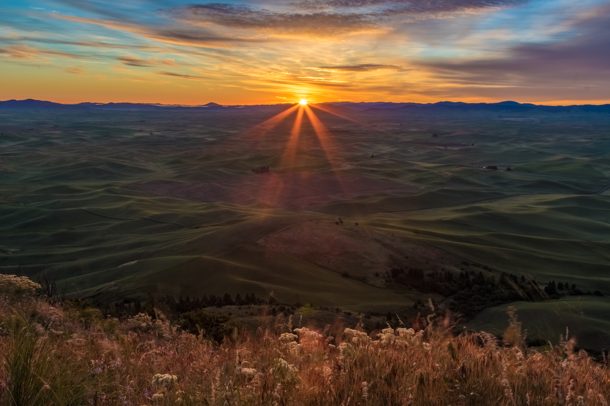 7G8A1983-HDR.jpg
