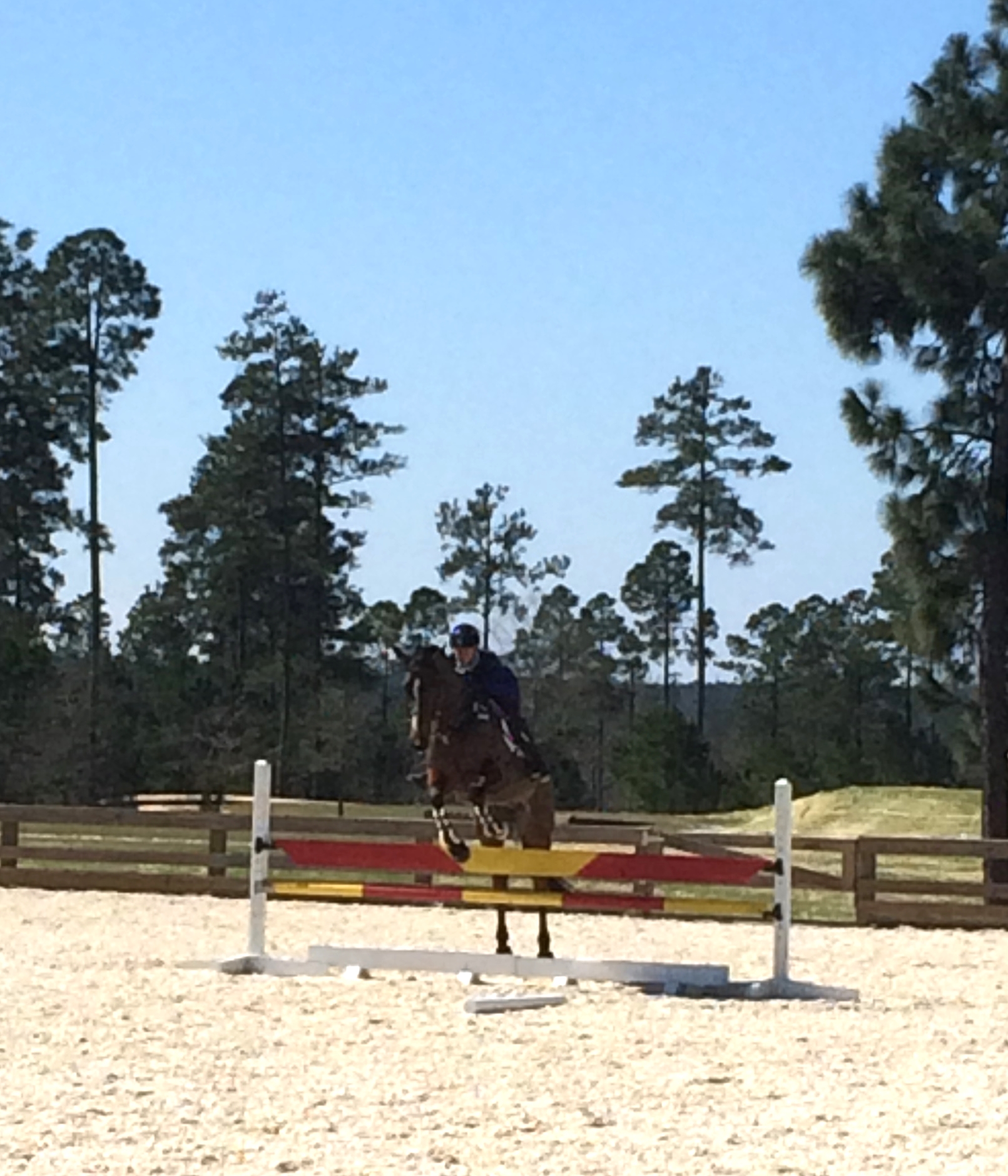 2016 Aiken Training Session - CR