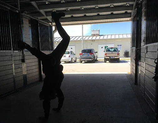 entertaining the ponies