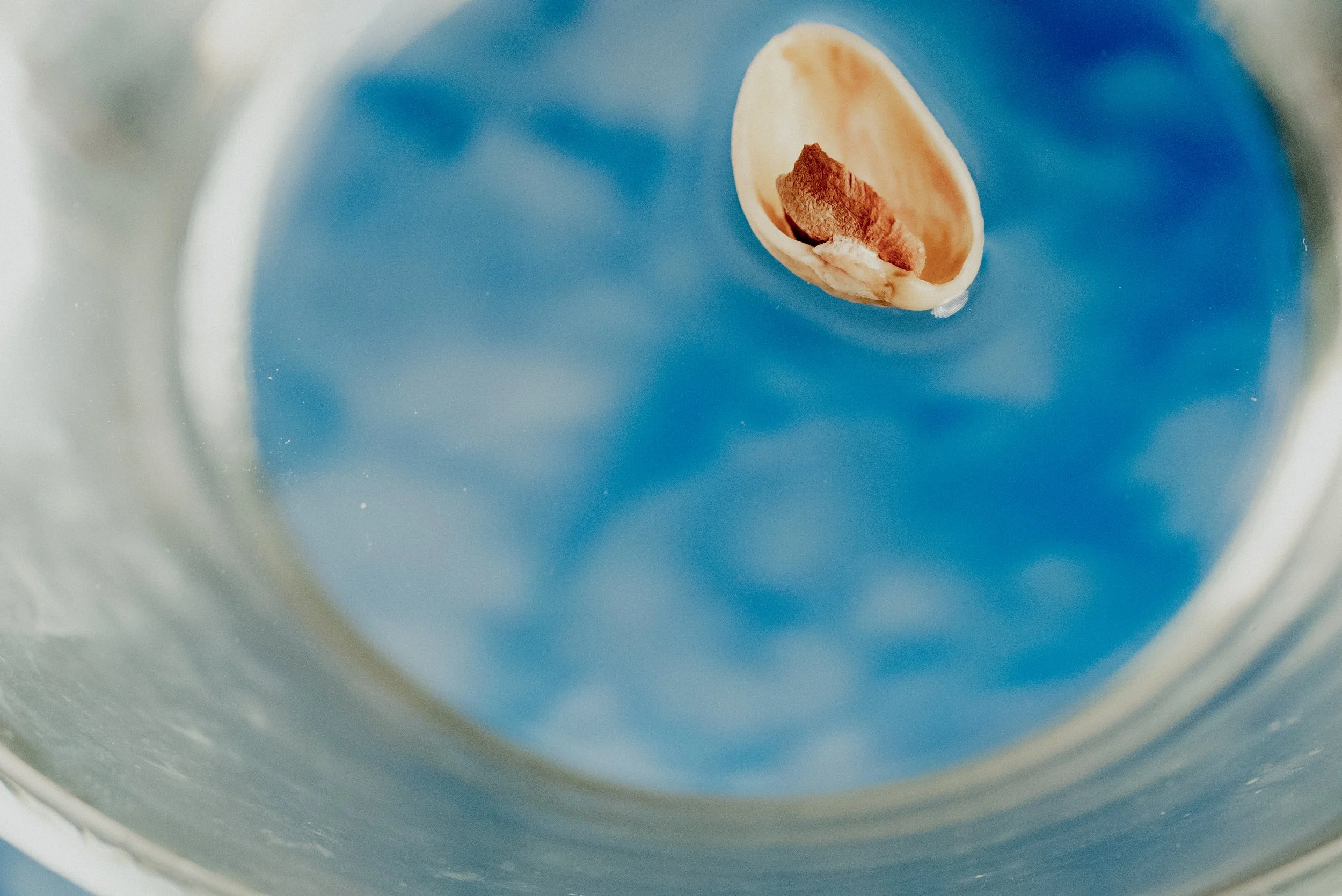 journey through the looking glass.jpg