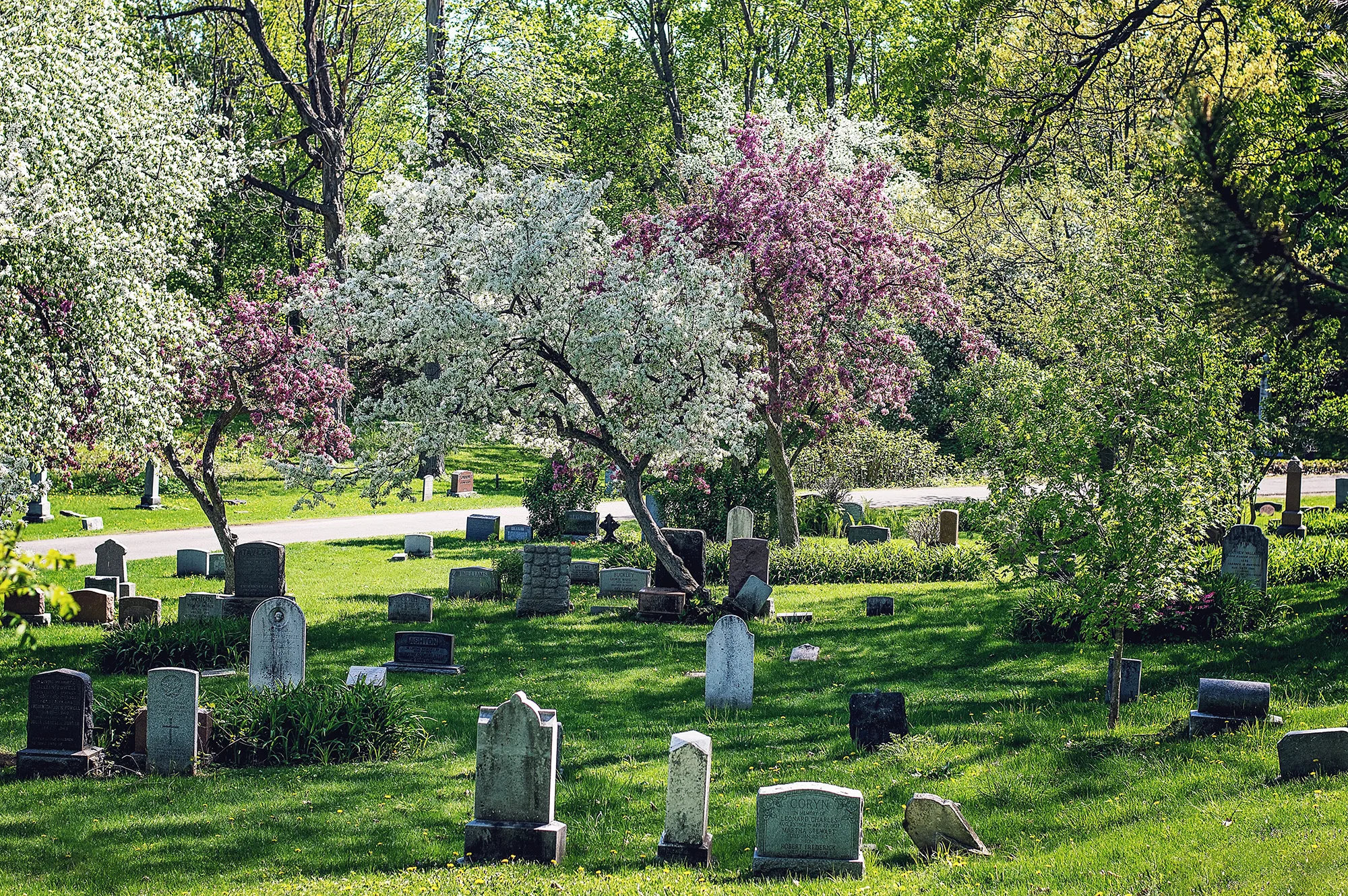 Mount Royal Cemetery