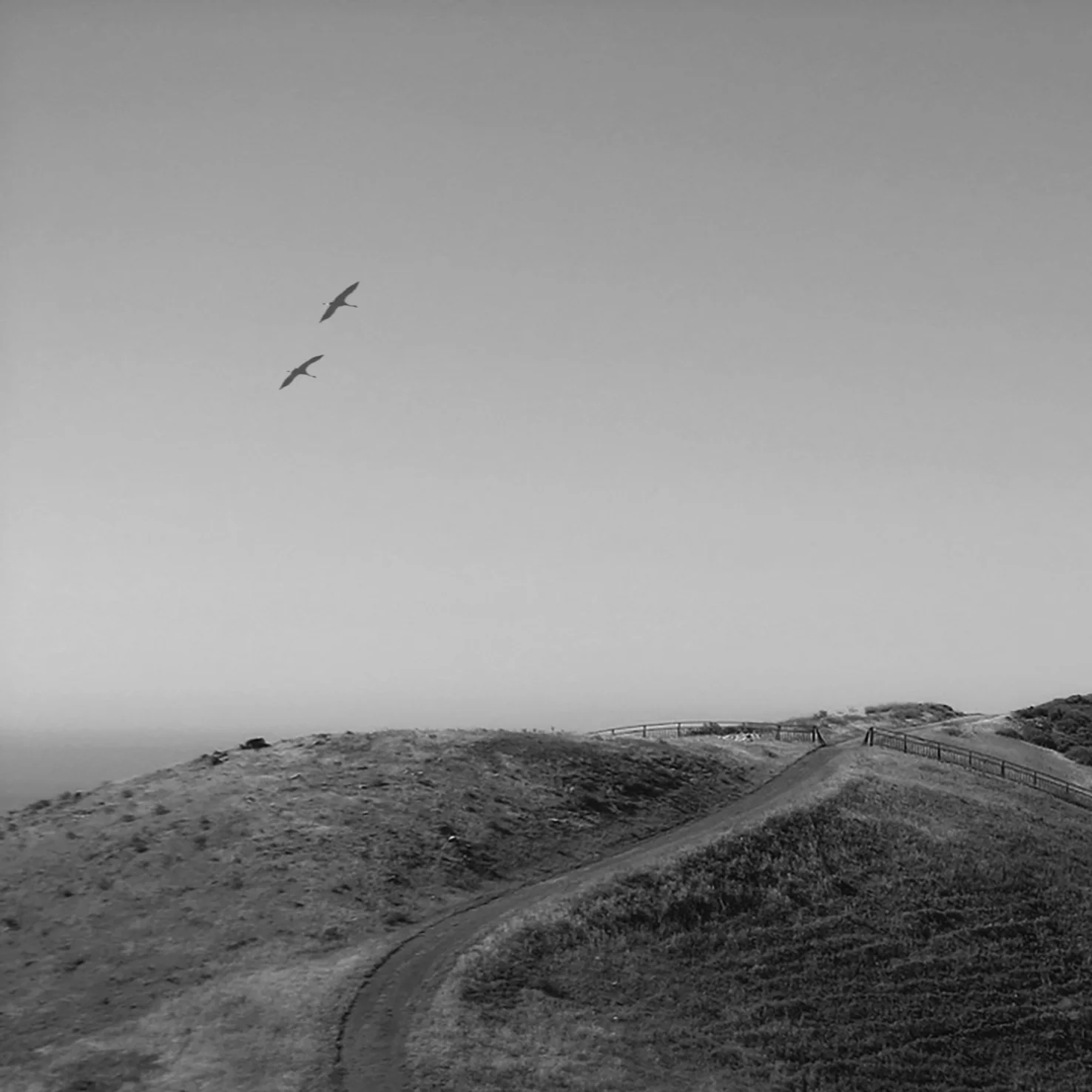 OHARA_EXT-PERSP-4_bw.jpg