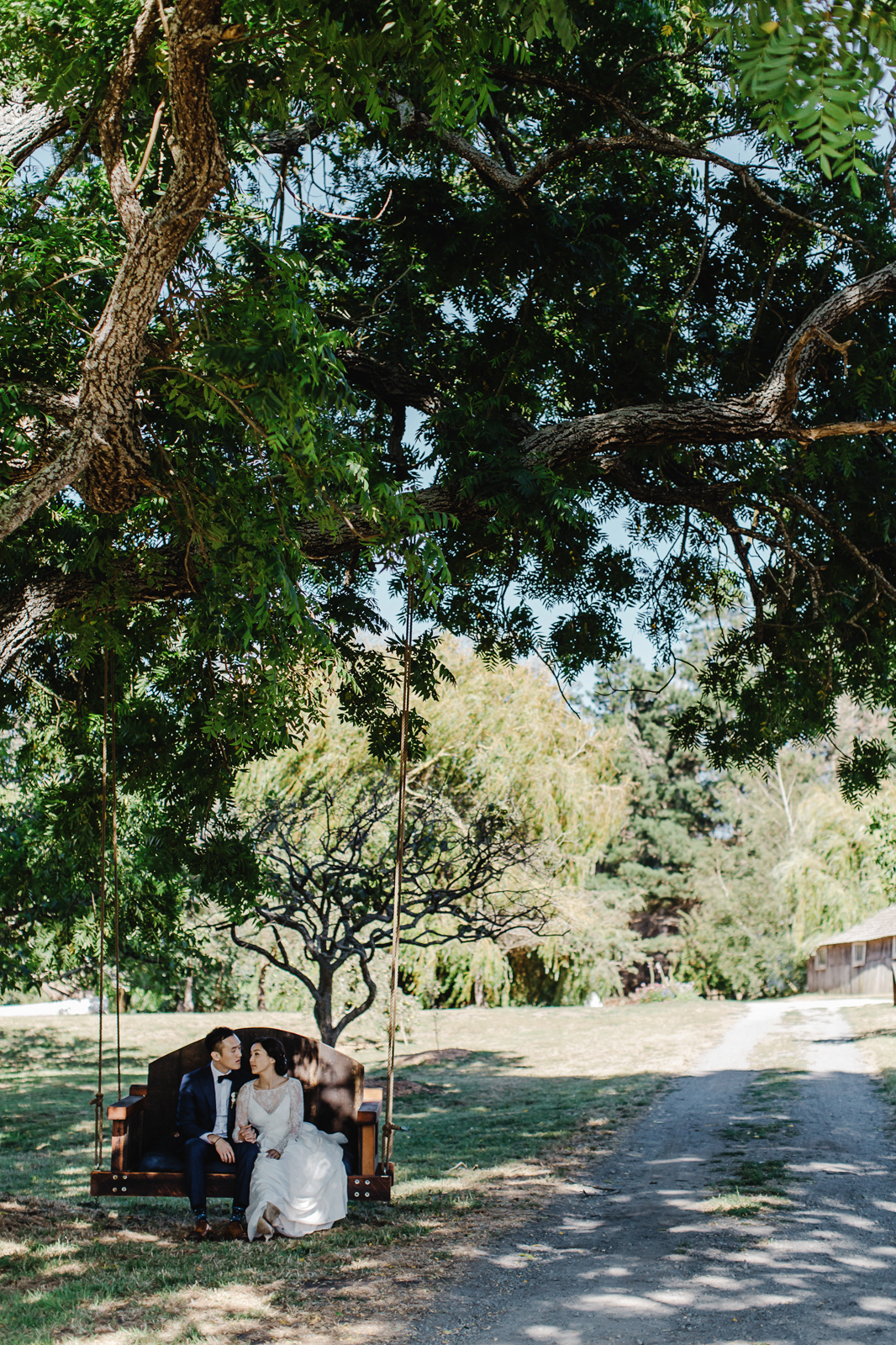 walnut tree swing photo by william kim photography