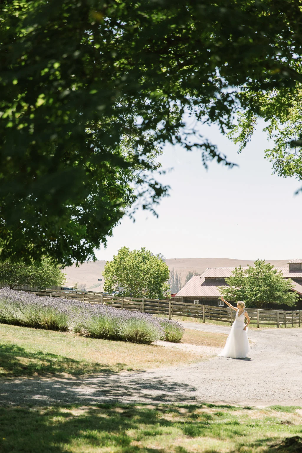 C&SWedding_087.jpg