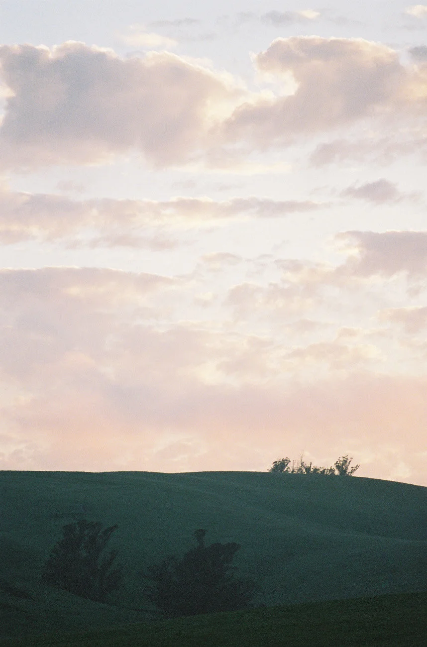 KM-446.jpg