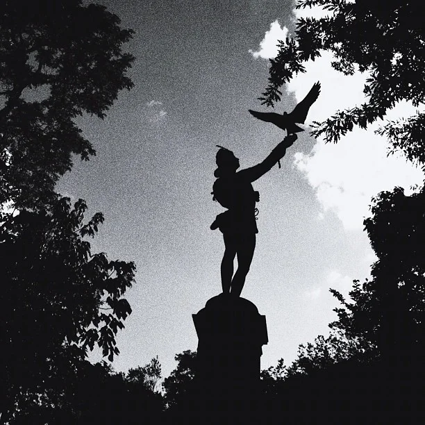 Contemplating Emergence And Extinction As Opposed To Good Morning And Murder, The Falconer, Central Park NYC (Taken with Instagram at The Falconer)