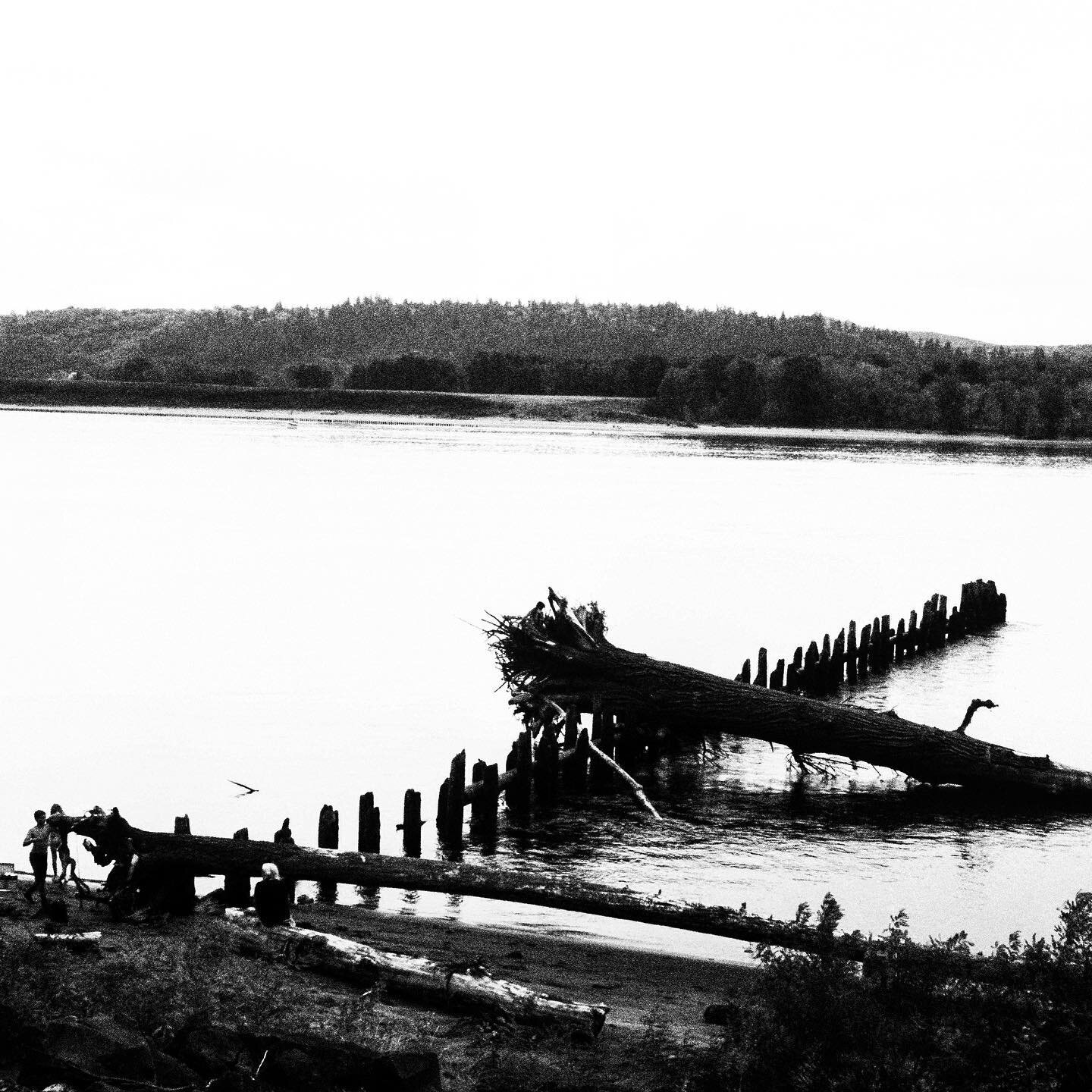 Summertime On The Columbia River Observed, Remembered, Familiar and Upon Reflection: Time &amp; Place Seem Less Distant, Kalama WA or Positing A Post-Internet Condition, In Which &quot;All Era&rsquo;s Seem As If Existing As One&quot; No. Ⅳ: You Are T