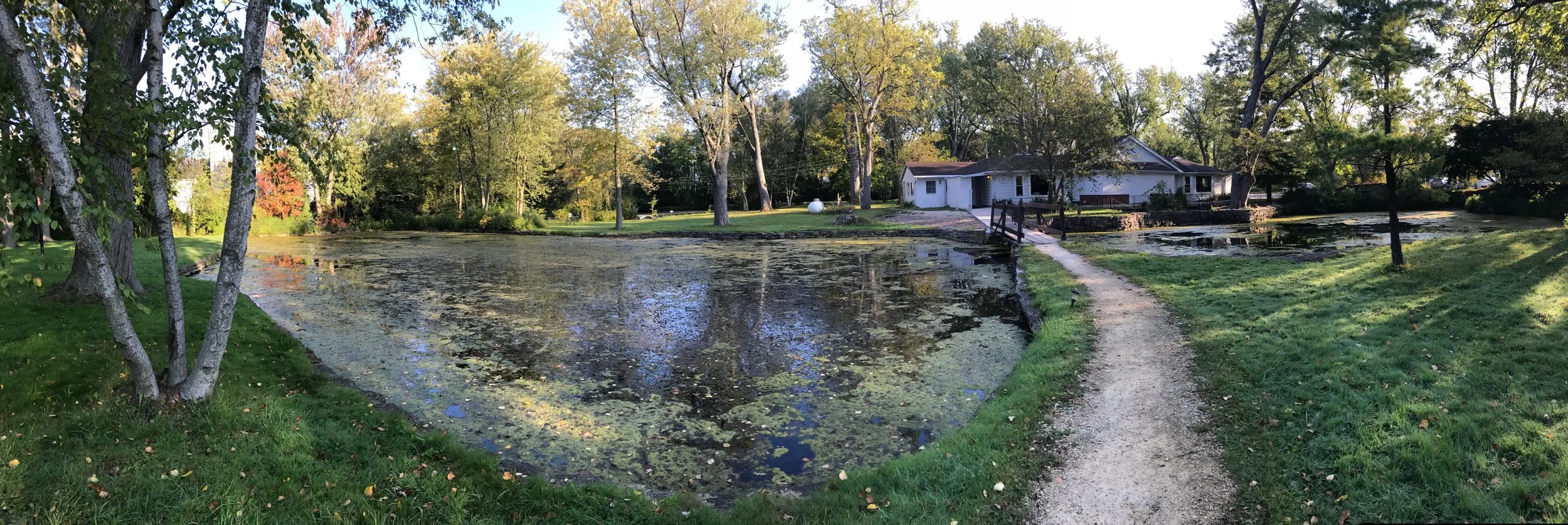 dhammapakasa.jpg
